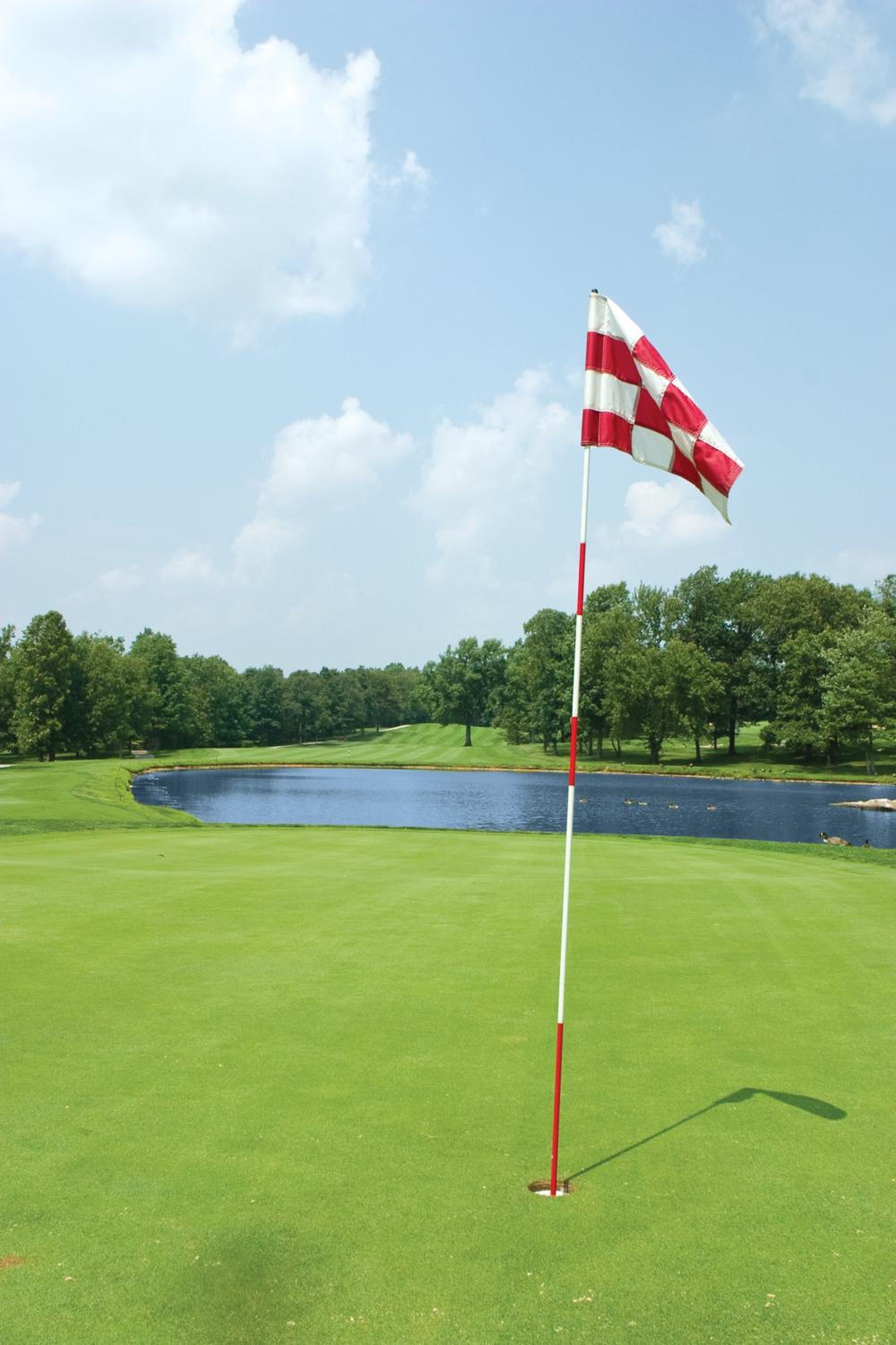 Club Wyndham Resort at Fairfield Glade - Property Image 25