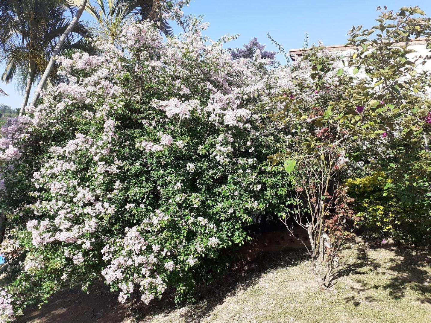 CHACARA VALE DOS SONHOS ITU Chacara de Condominio