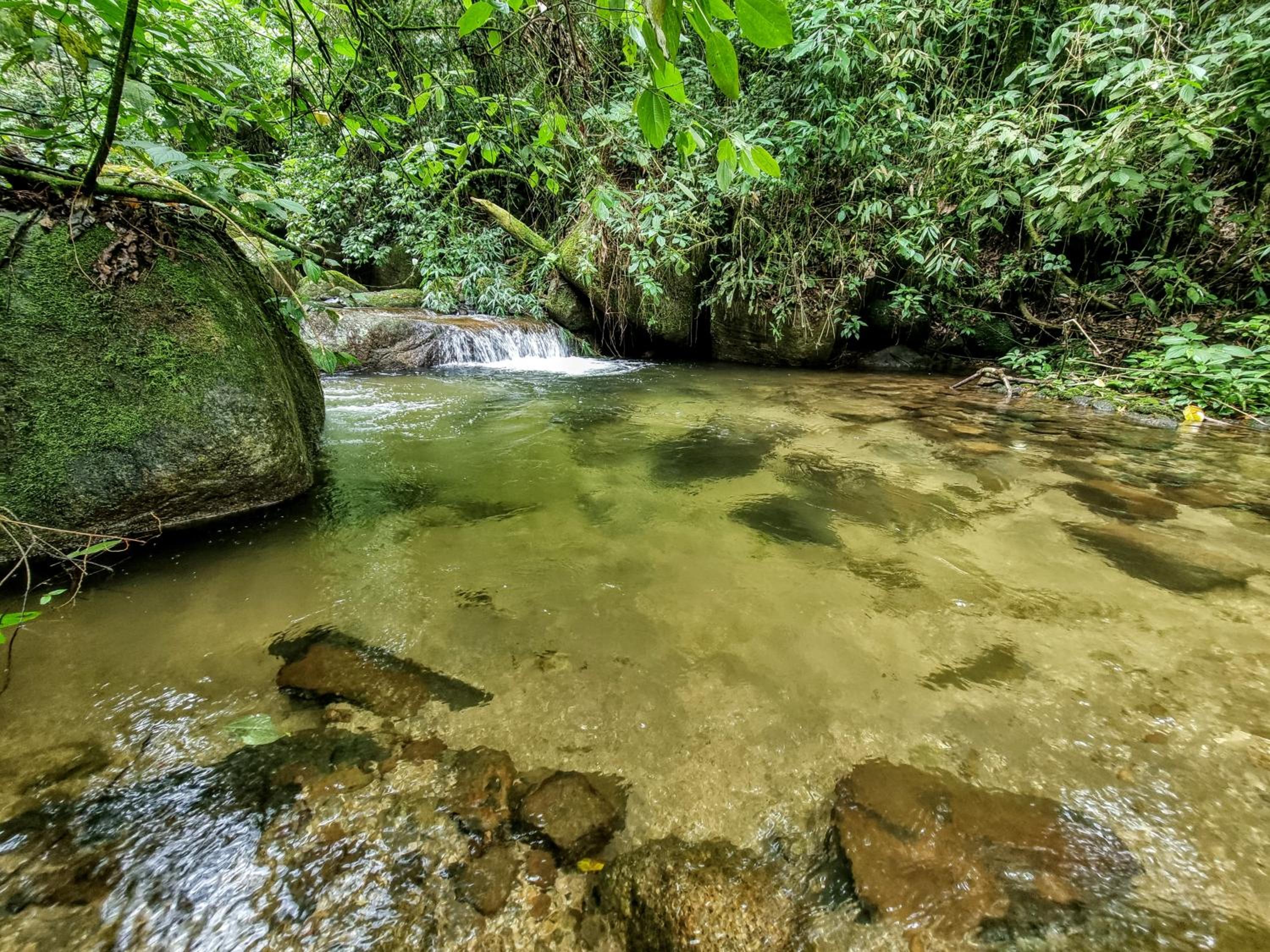 Vista Alegre Ecoaventuras, trilhas e cachoeiras