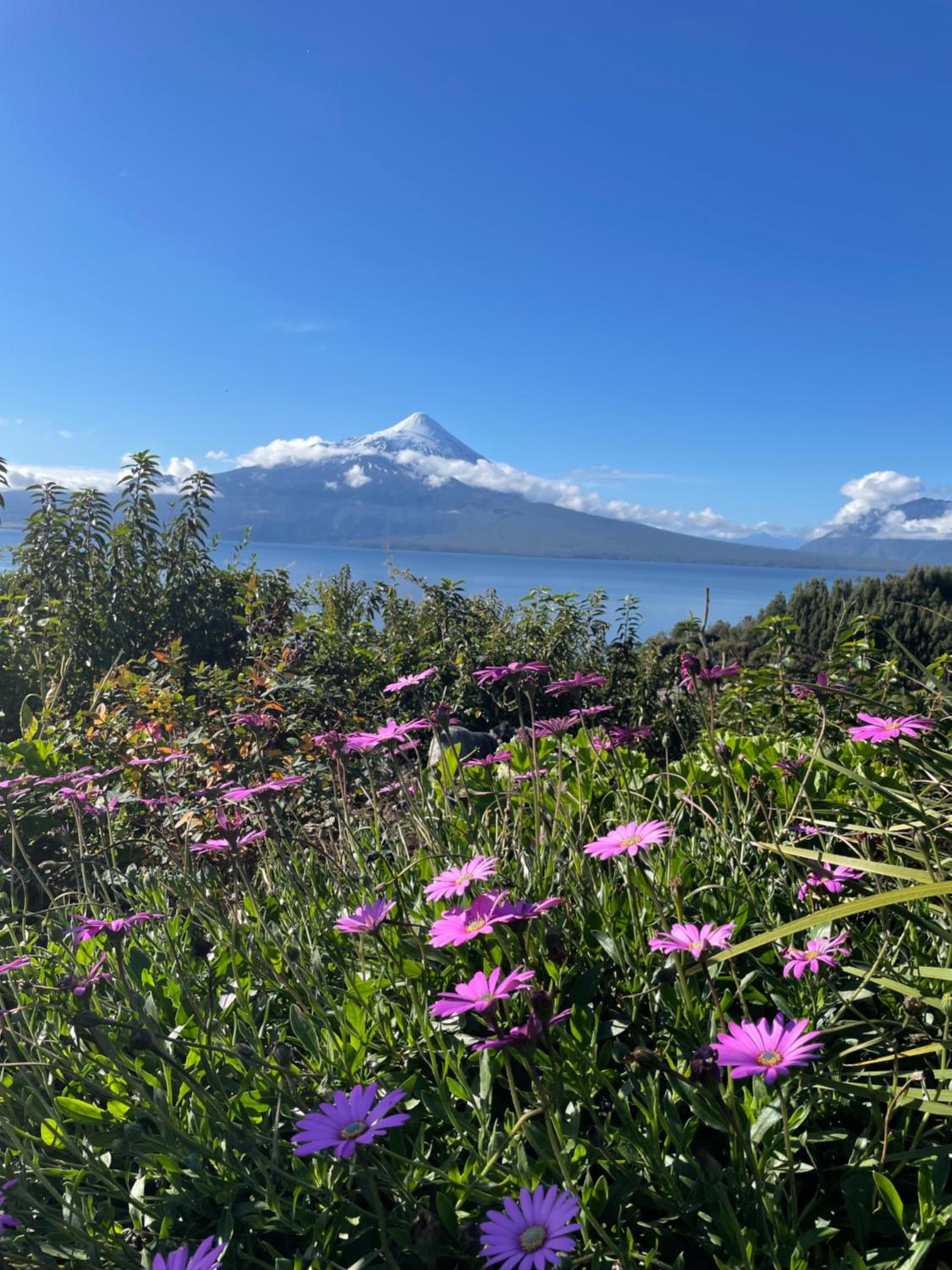 Casa EL CIERVO, Los Riscos, Puerto Varas