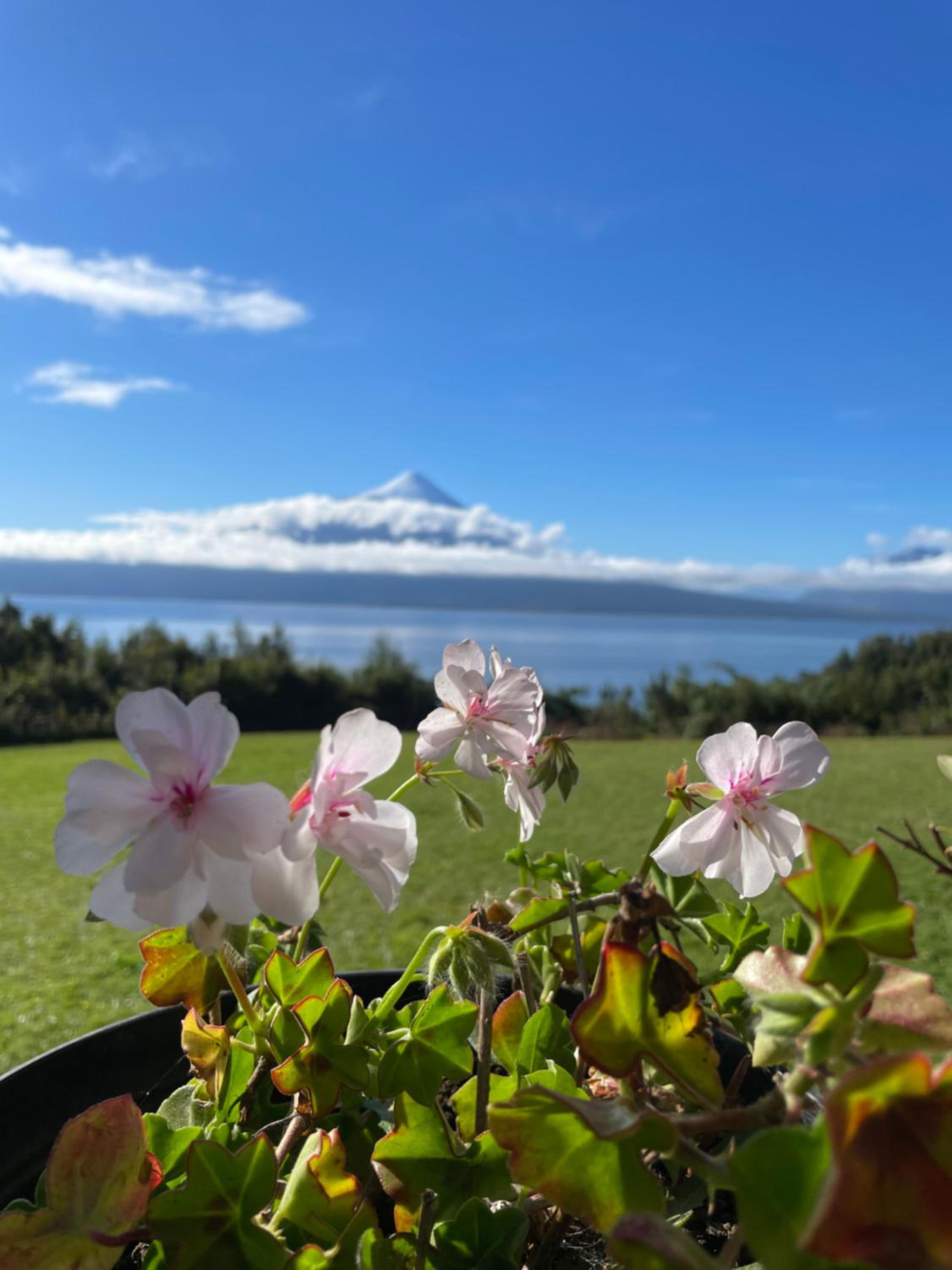Casa EL CIERVO, Los Riscos, Puerto Varas