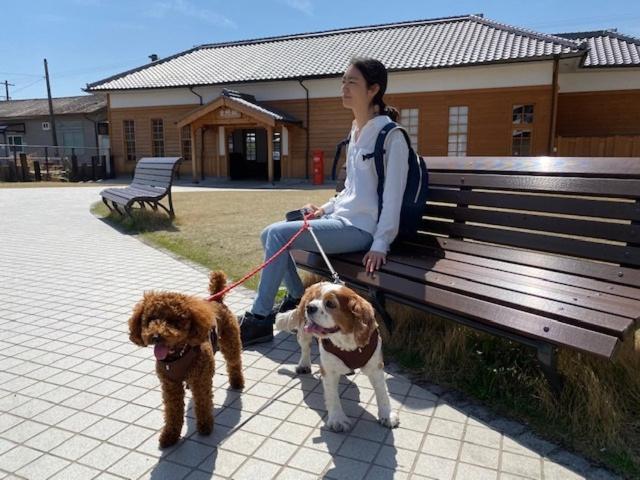 Photo 22