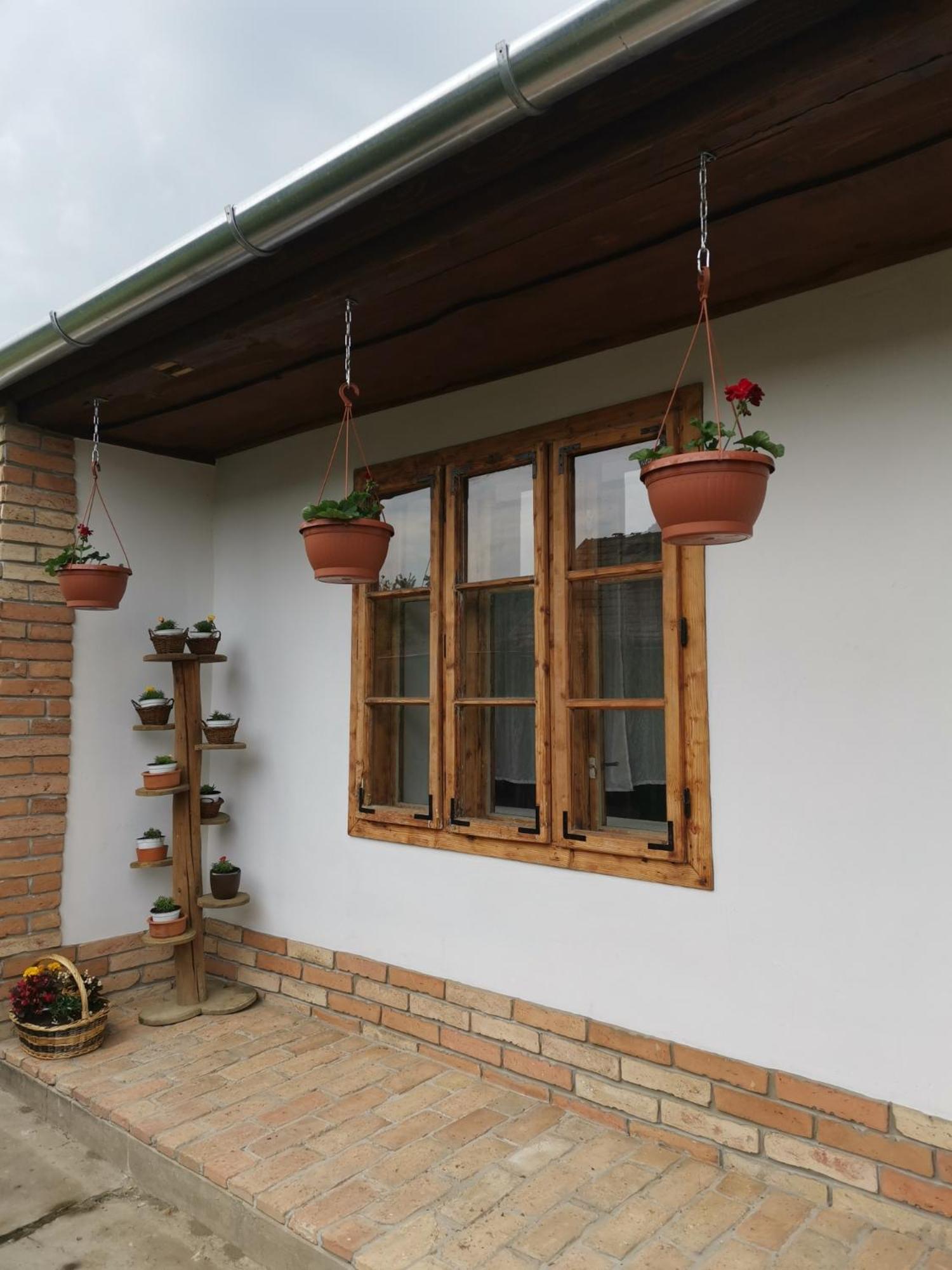 Pusztaszemes Vendéghaz view 2