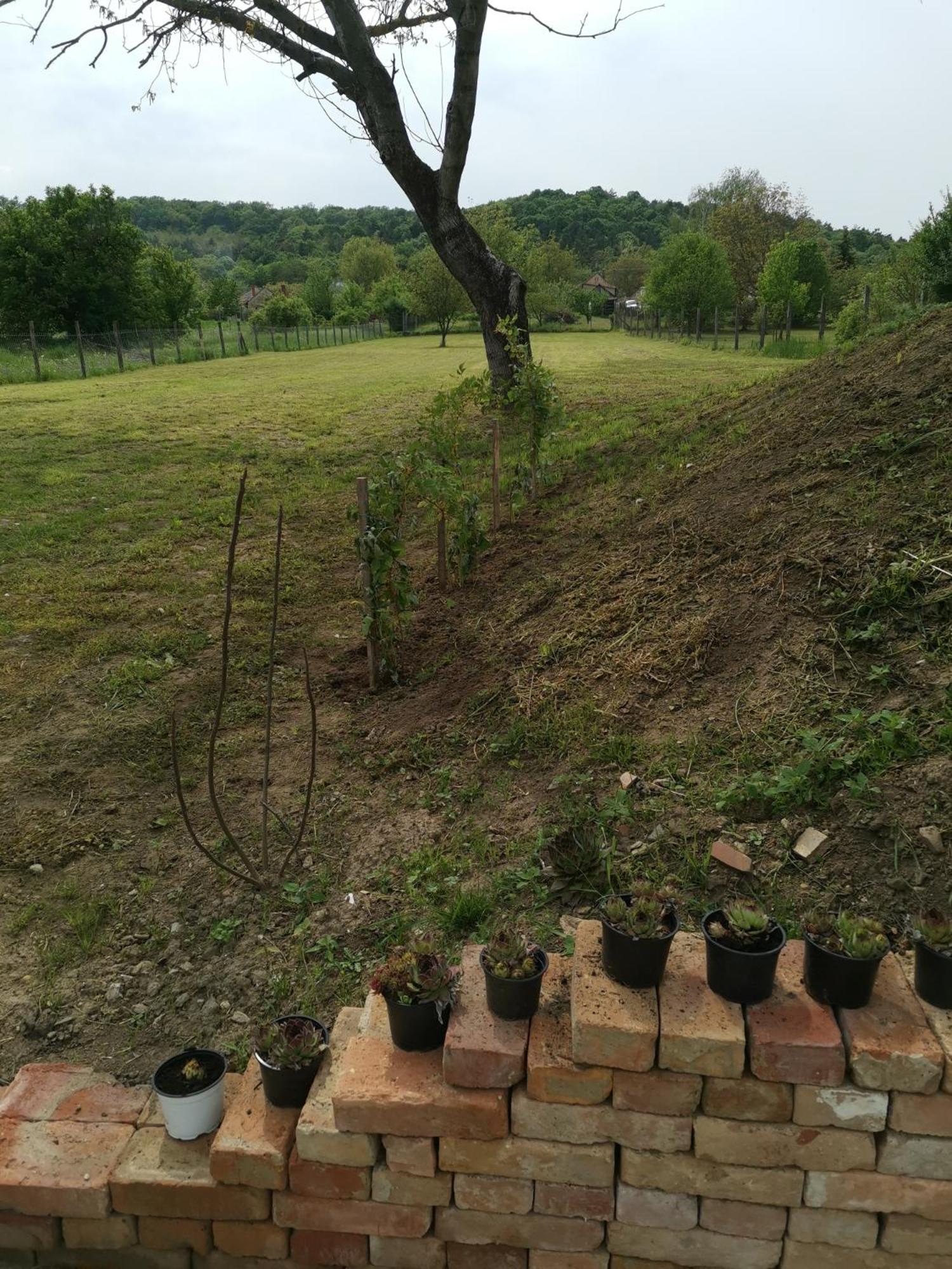 Photo 42