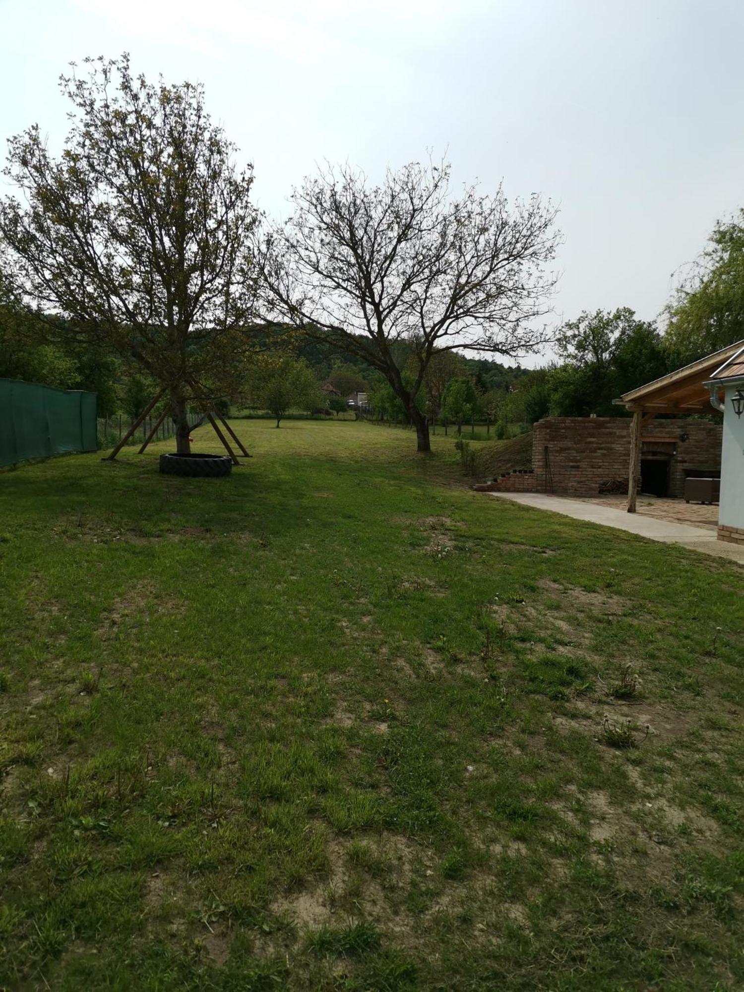 Photo 43