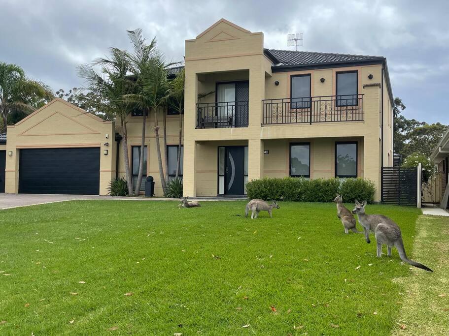 Beautiful 5 bedroom house in Jervis Bay
