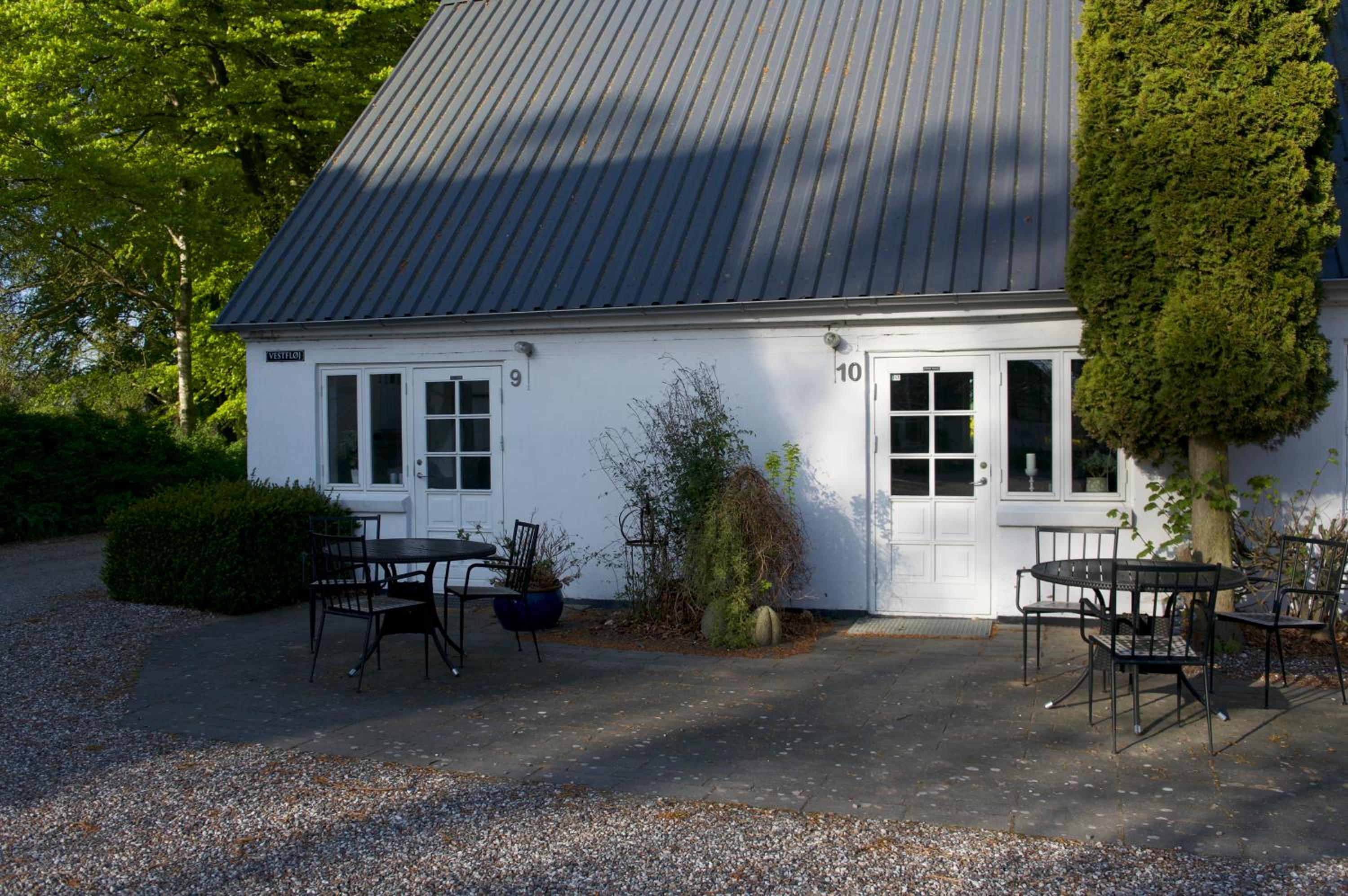 Tiendegaarden Møns Klint