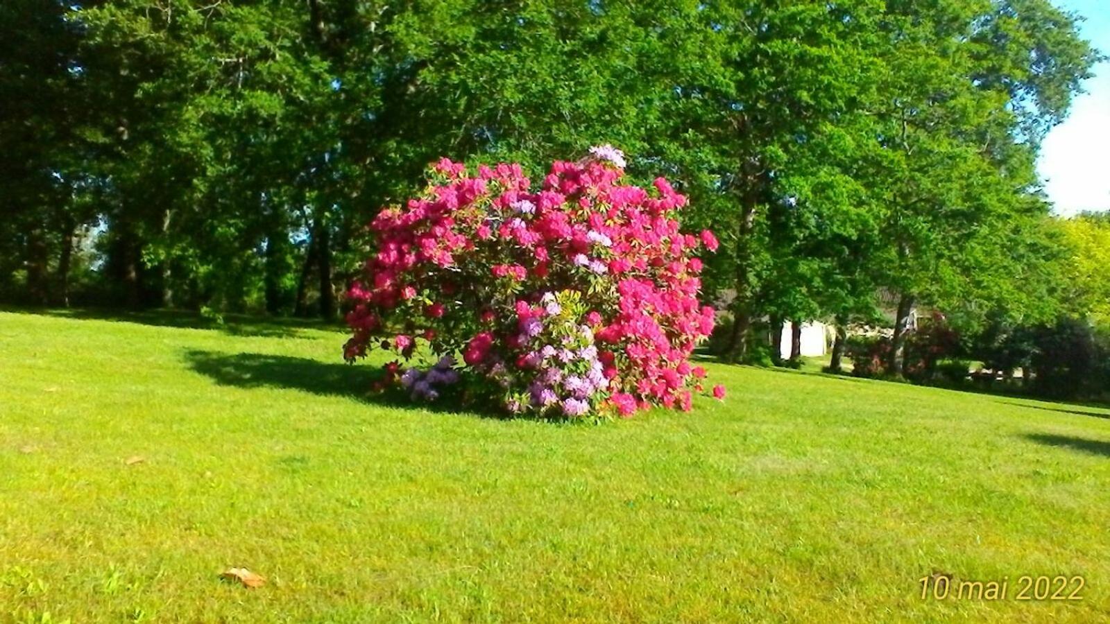 Photo 4