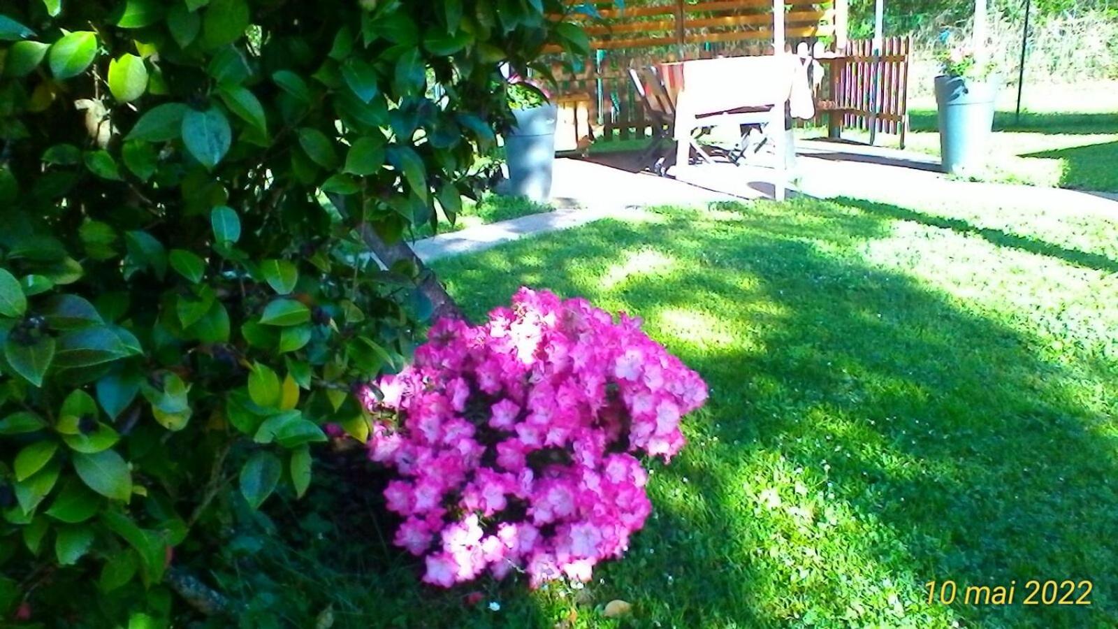 Photo 42