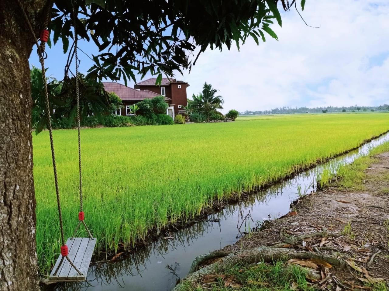 Izz Homestay Sawah Padi Sungai Besar ! view 4