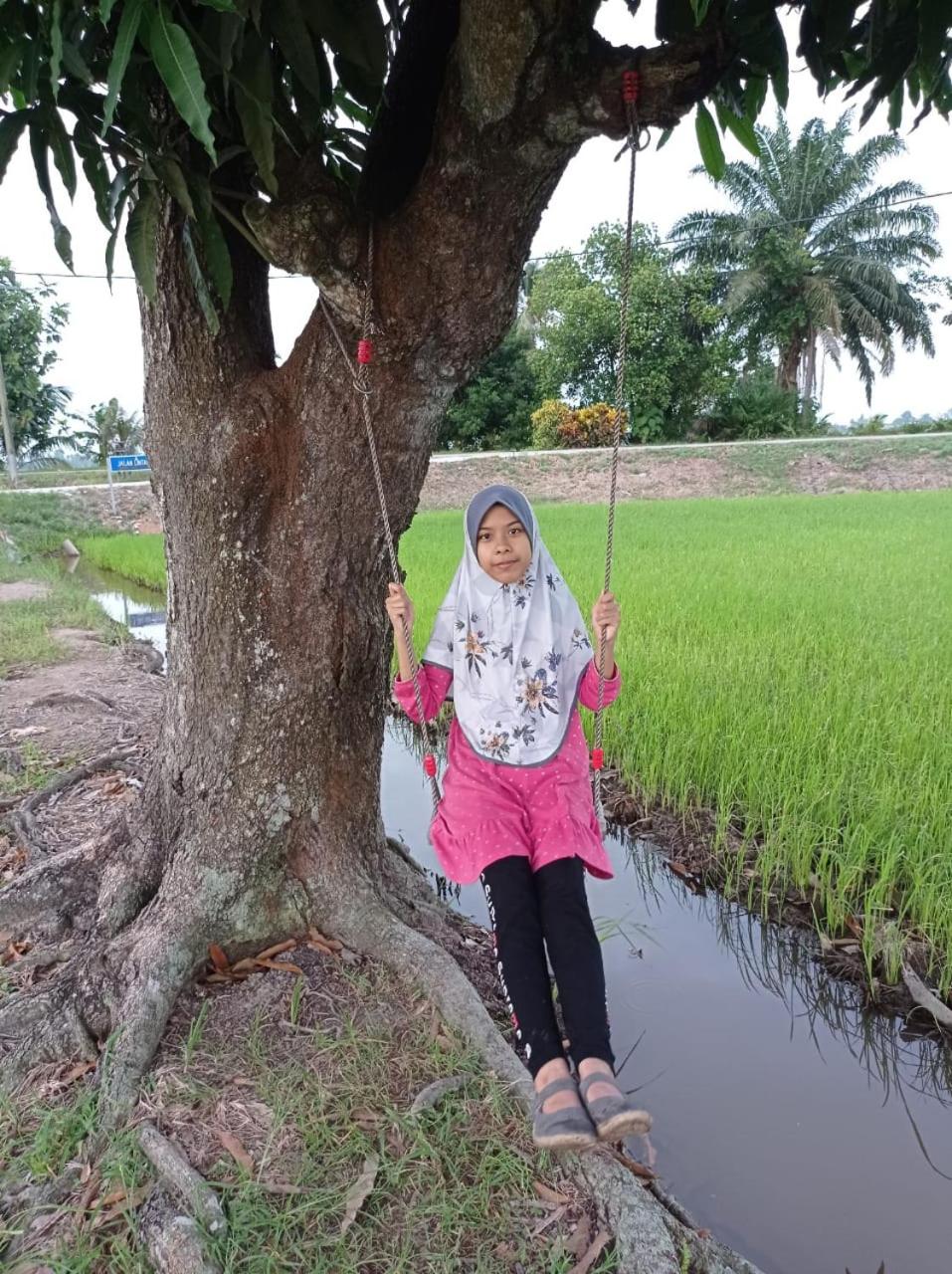 Izz Homestay Sawah Padi Sungai Besar ! view 3