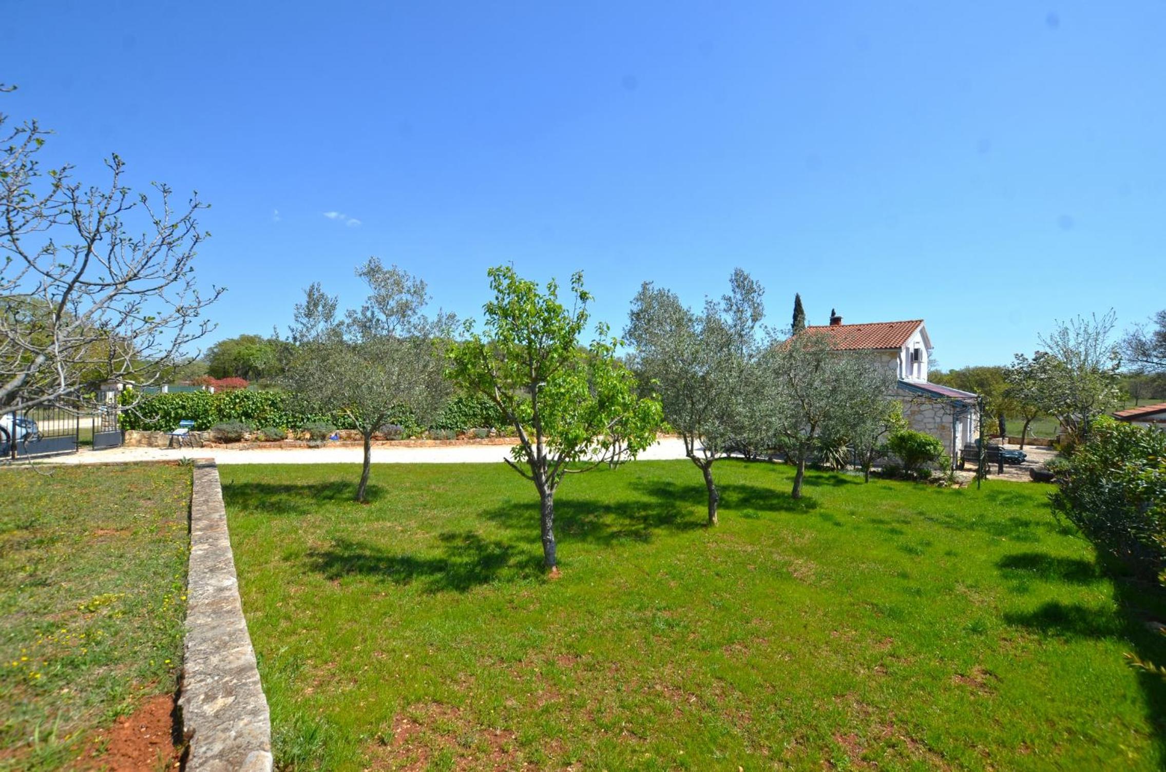 Bavica Apartments view 4