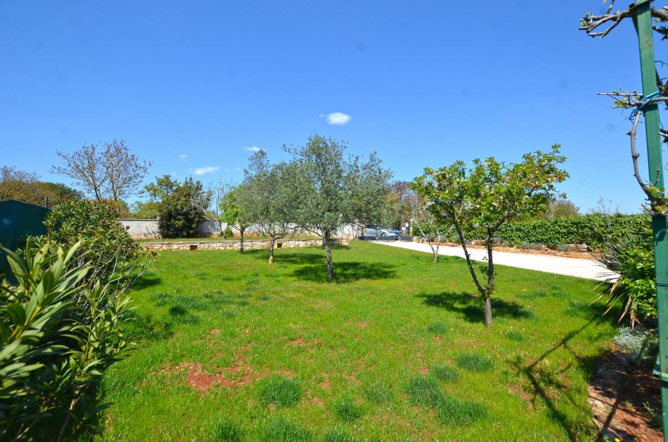 Bavica Apartments view 5