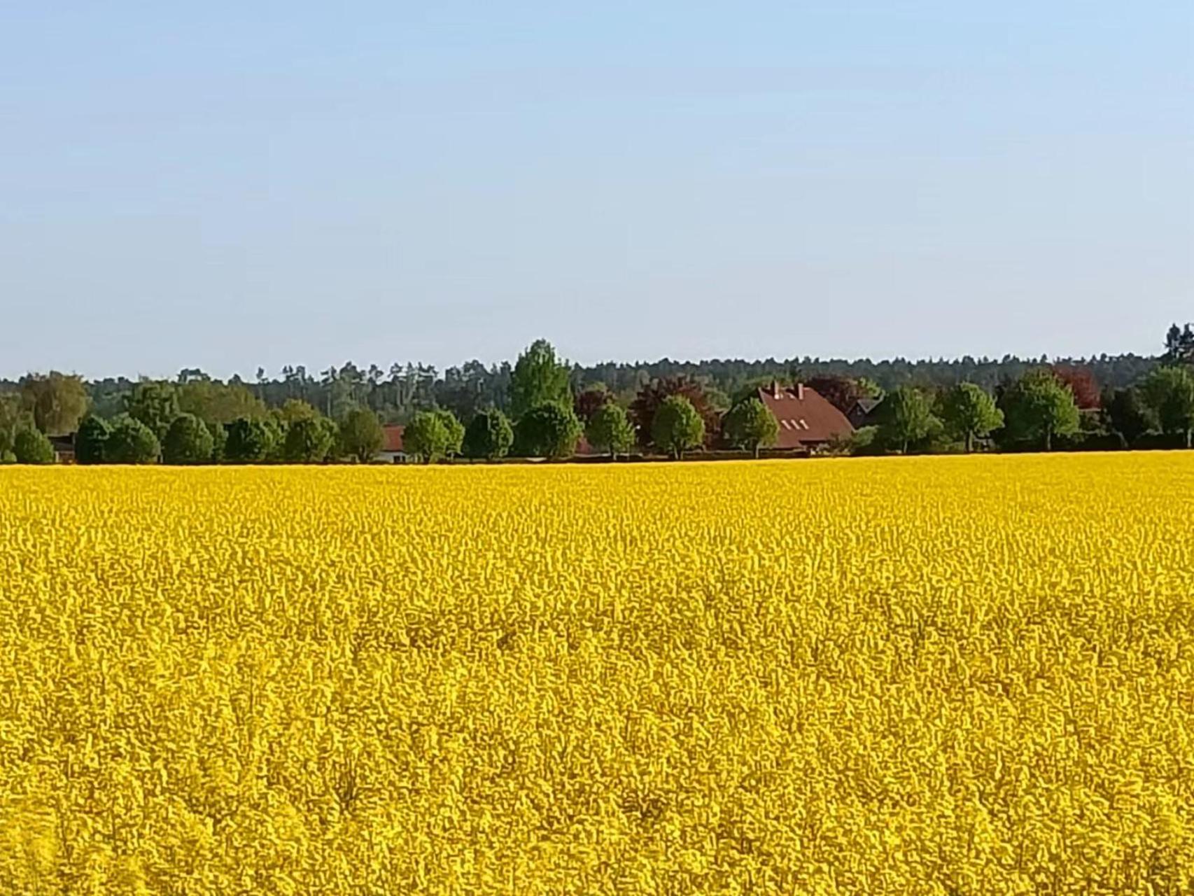 Altenmedinger Hof