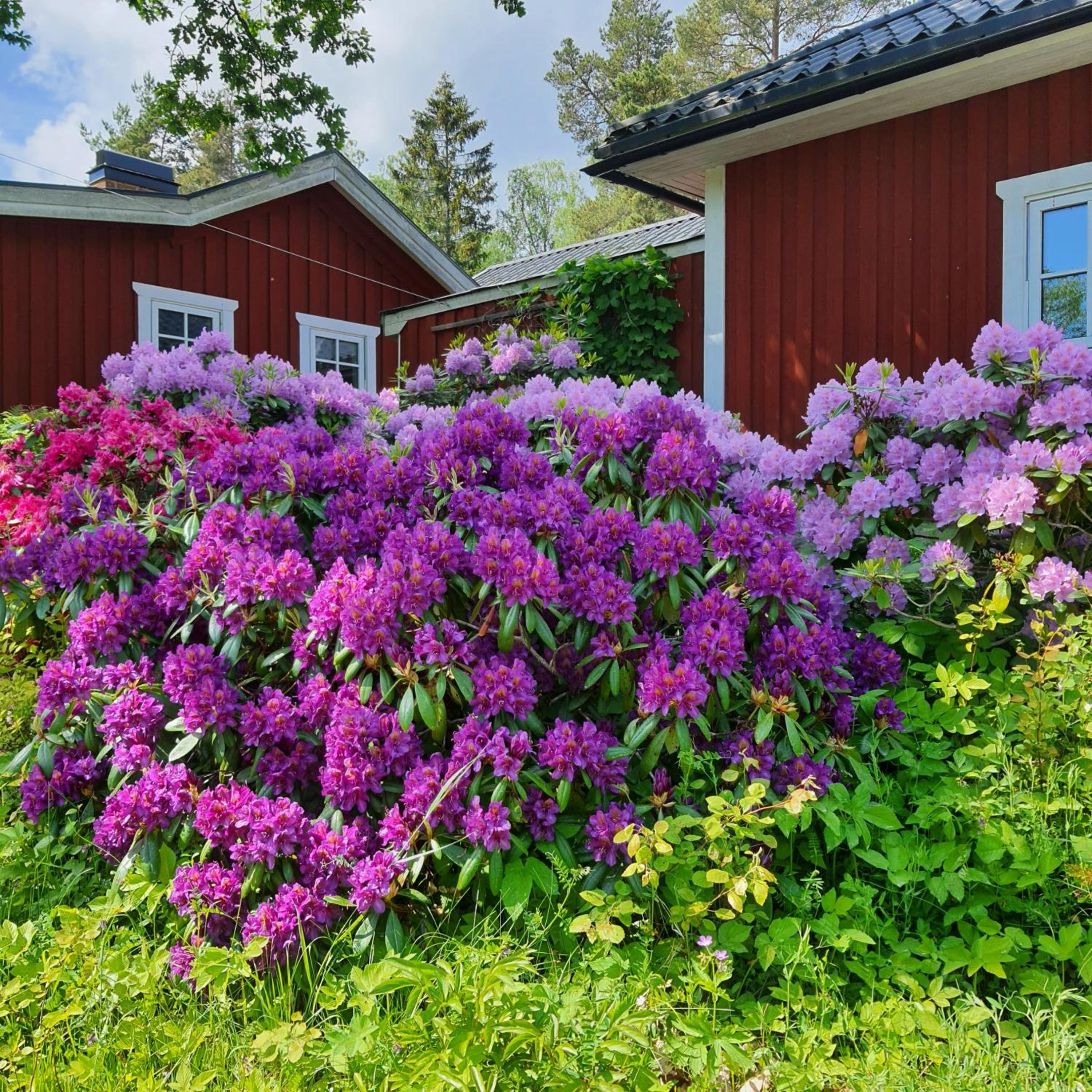 Torpet Gårdsvägen