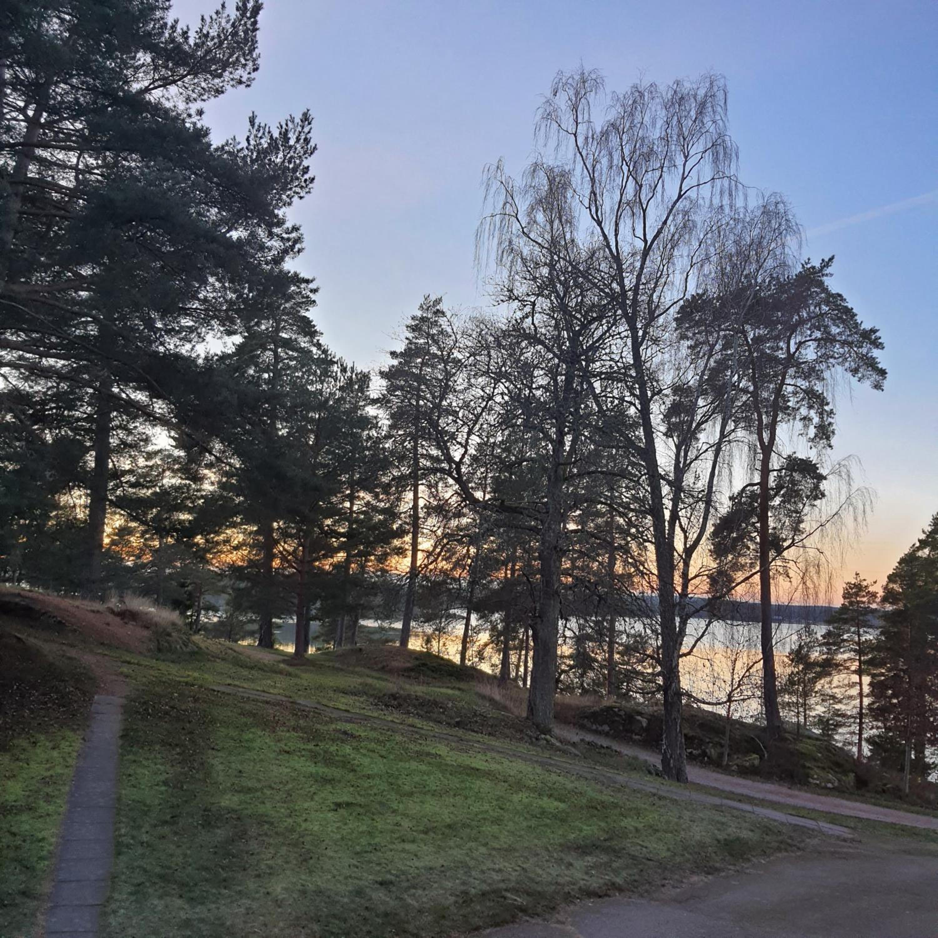 Torpet Gårdsvägen