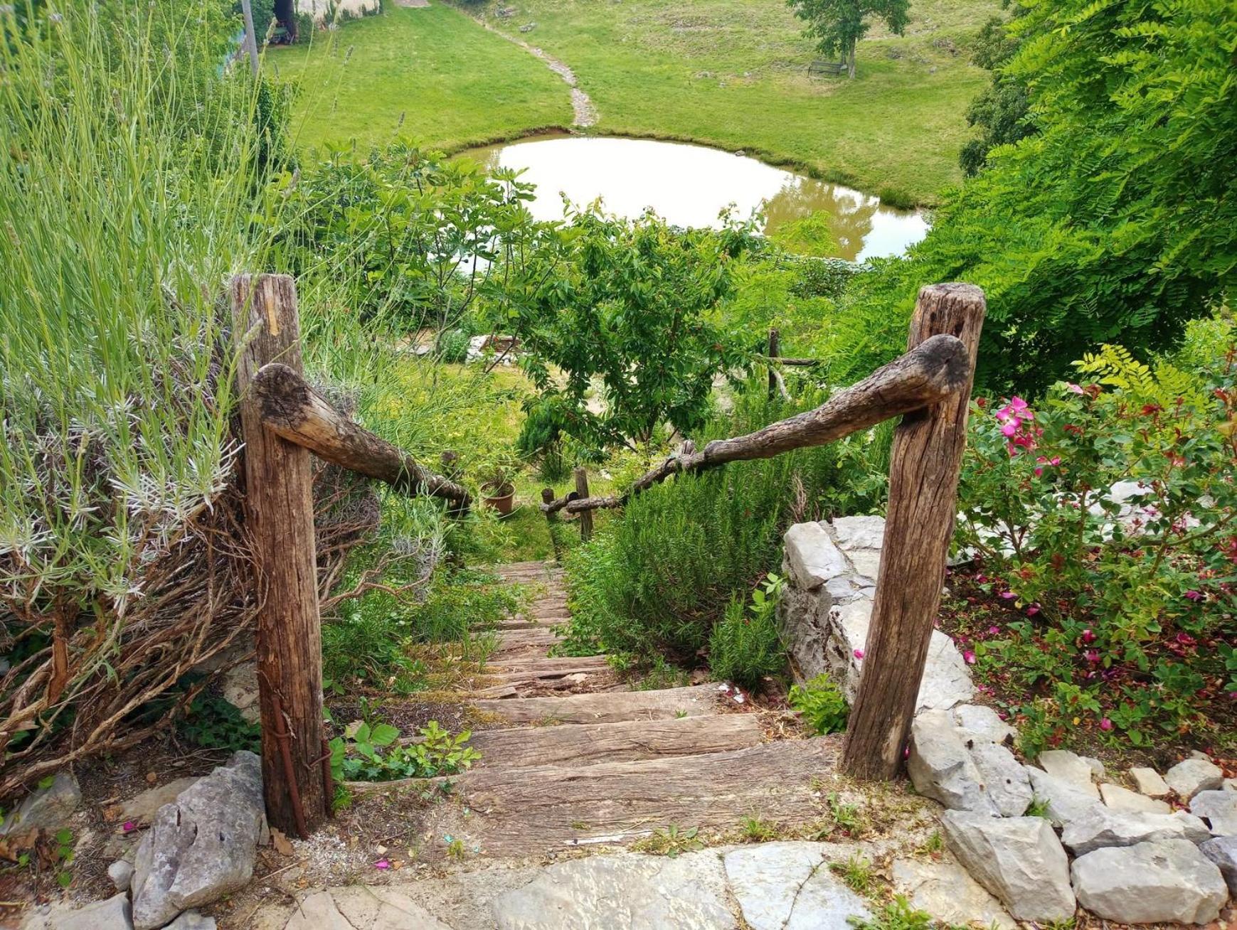 Photo 13