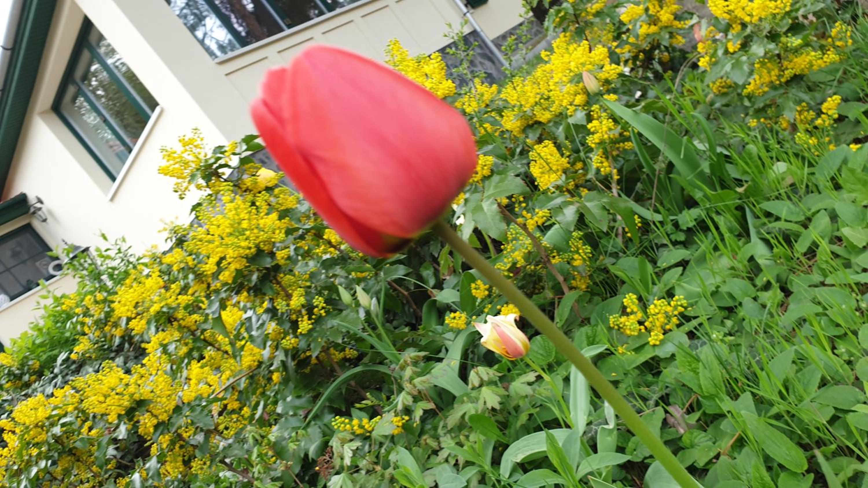 Photo 48