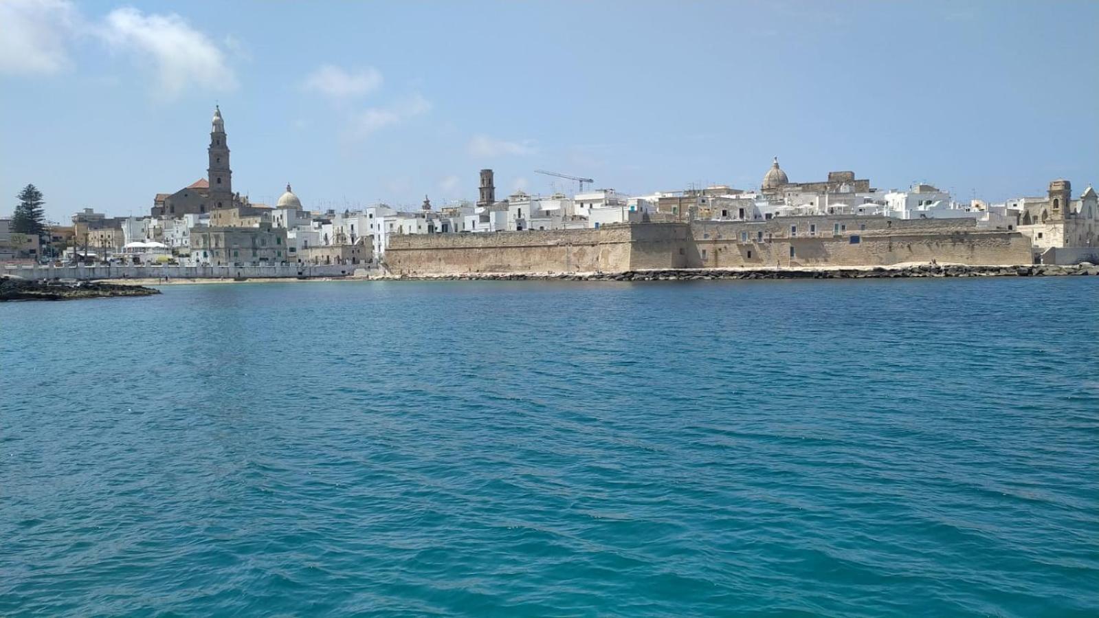 Photo 46