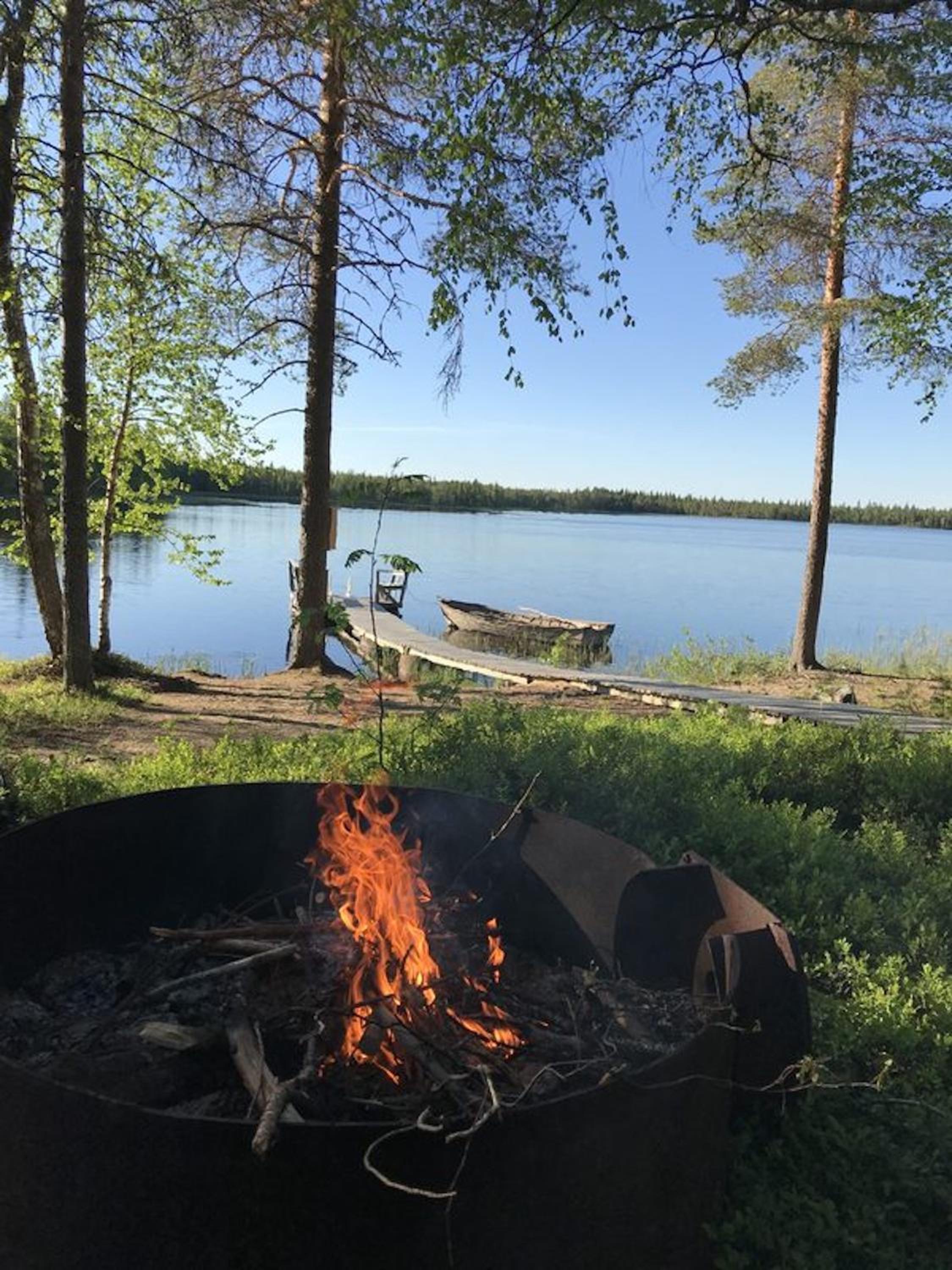 Metsä Kolo