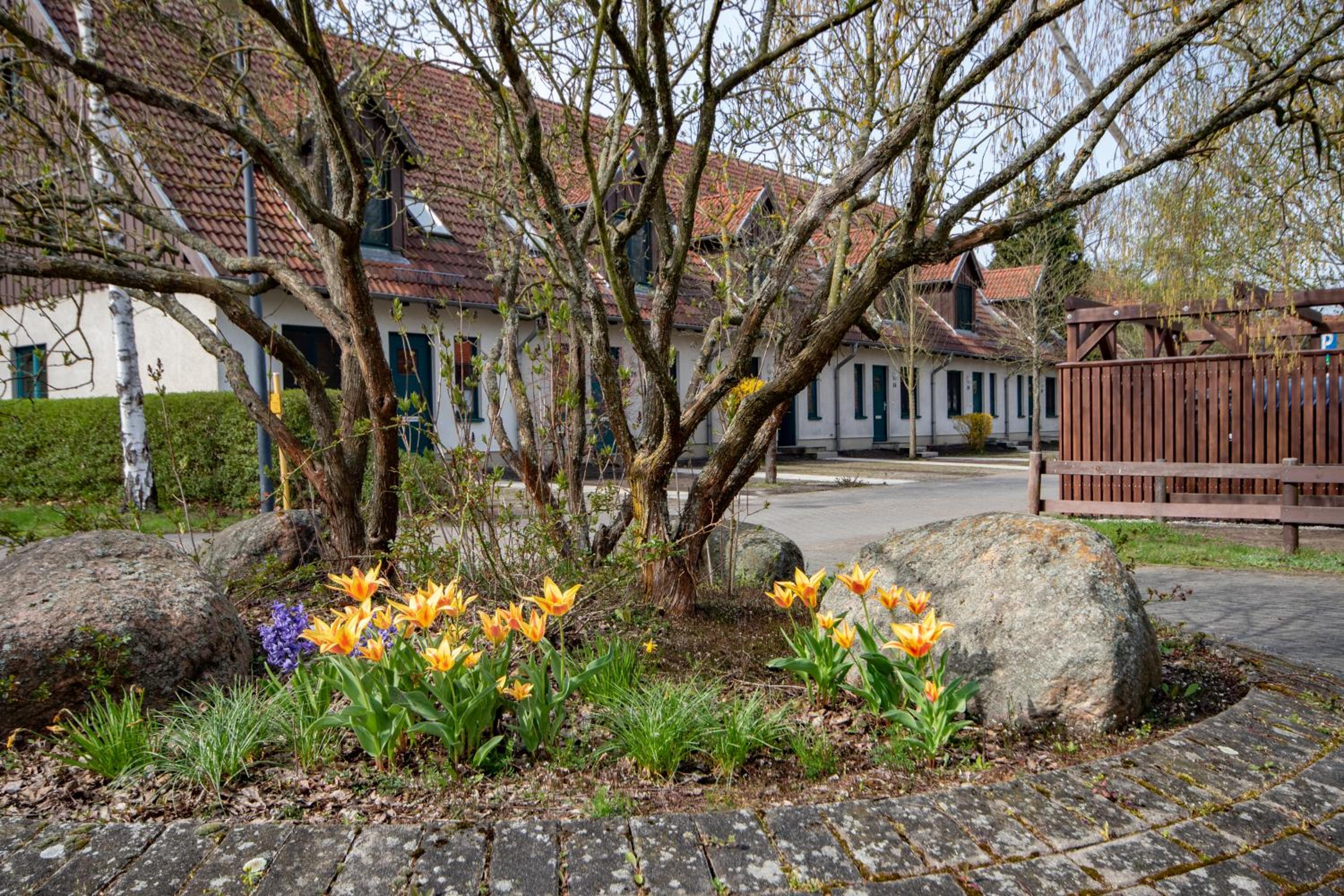 Spreewälder Feriendomizil/Pension