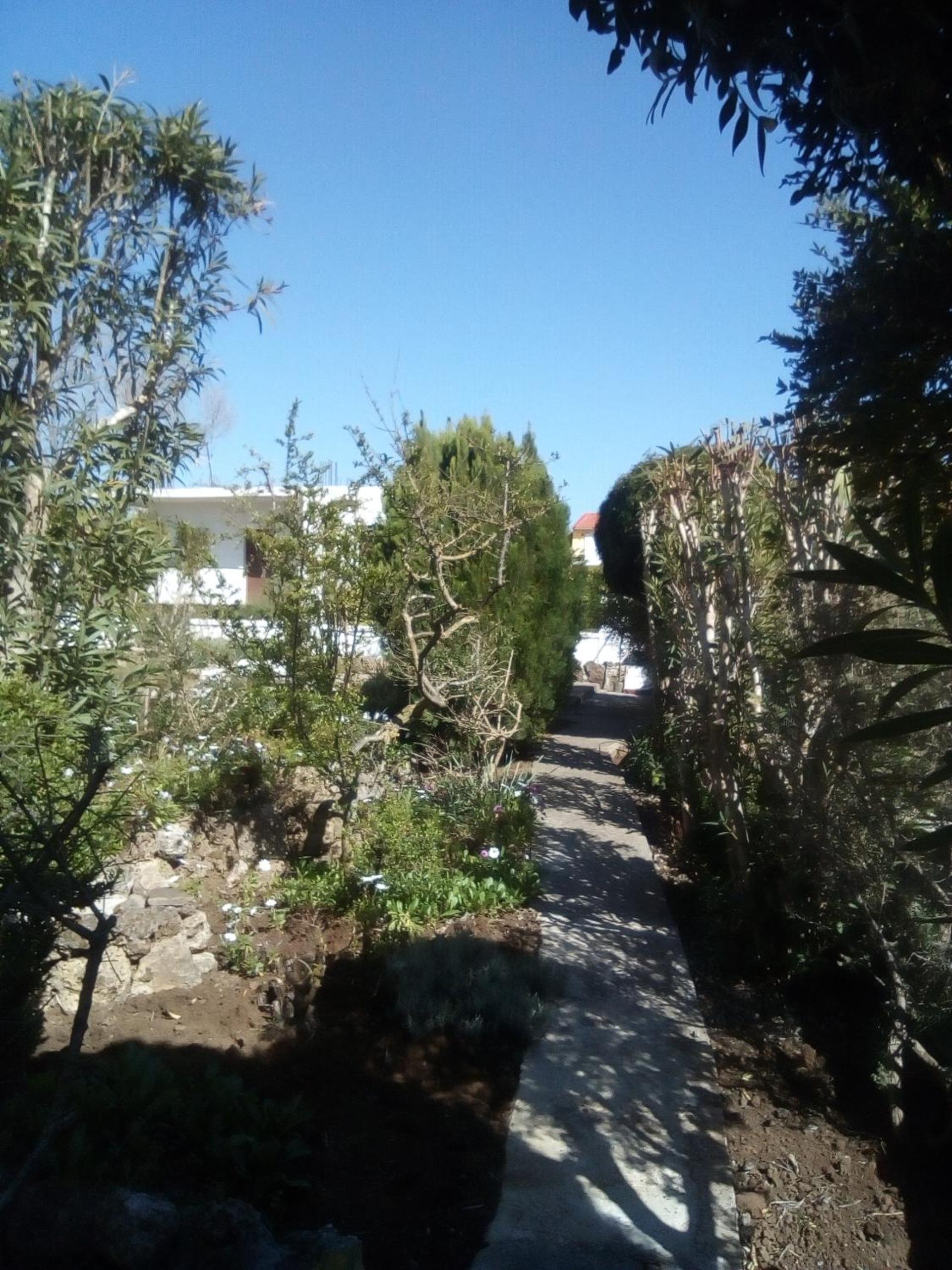Photo 43
