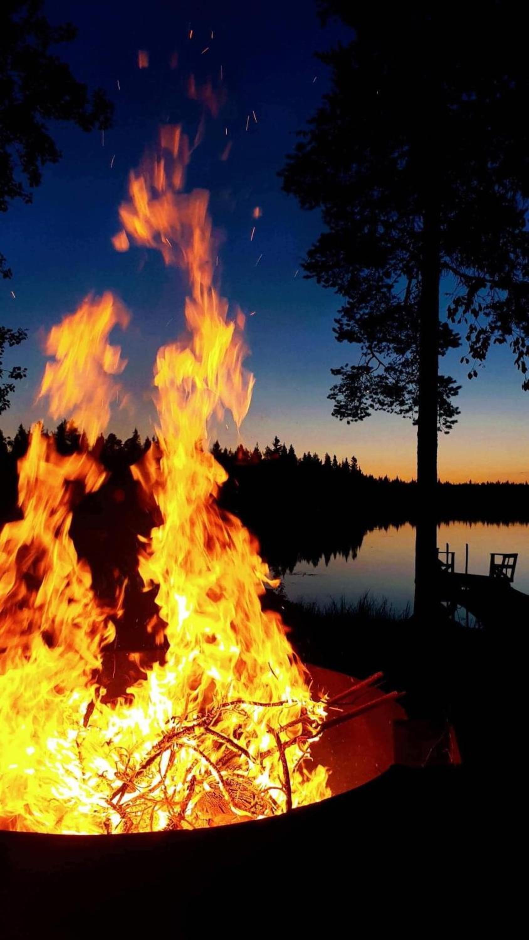 Metsä Kolo