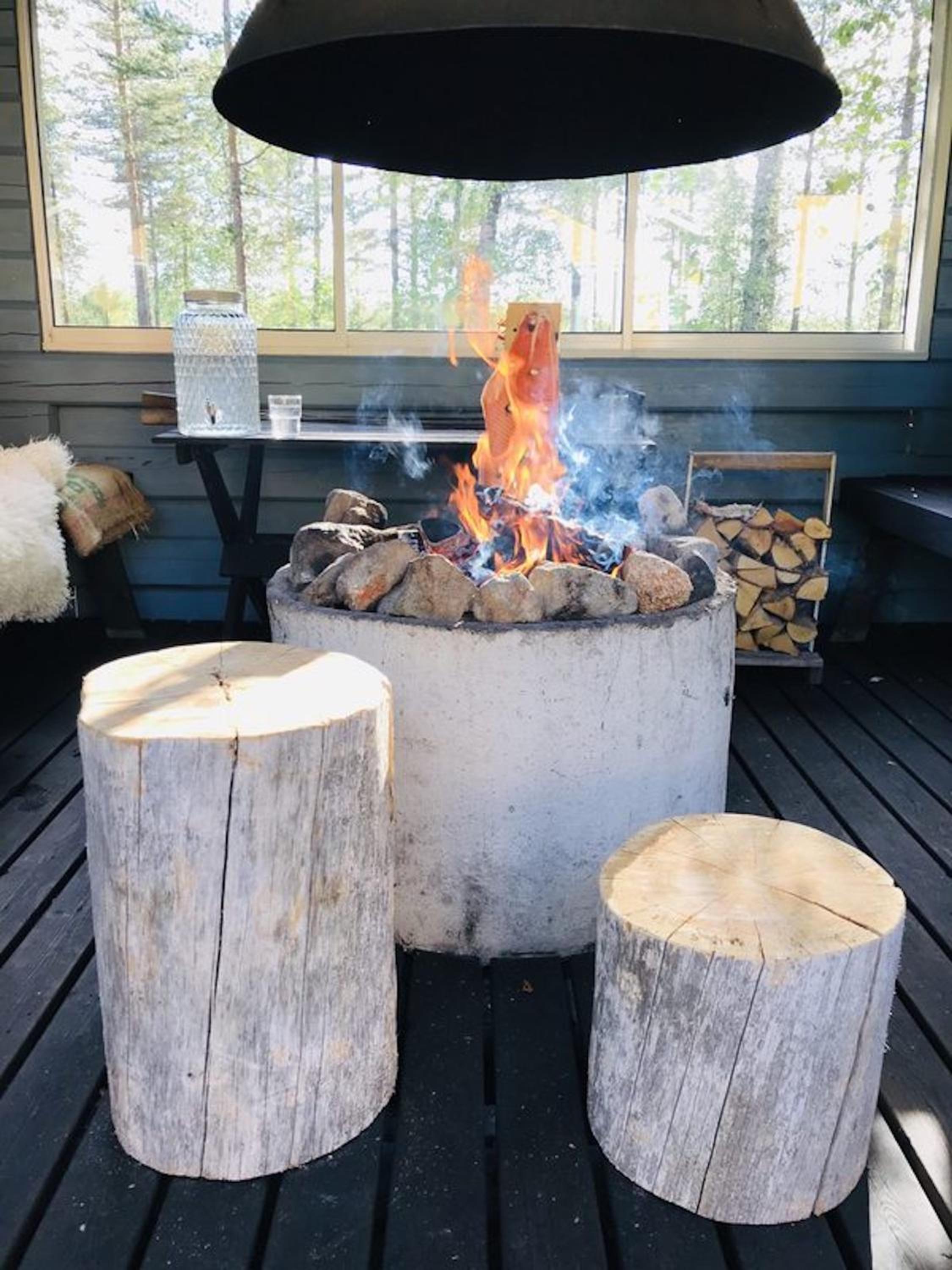 Metsä Kolo