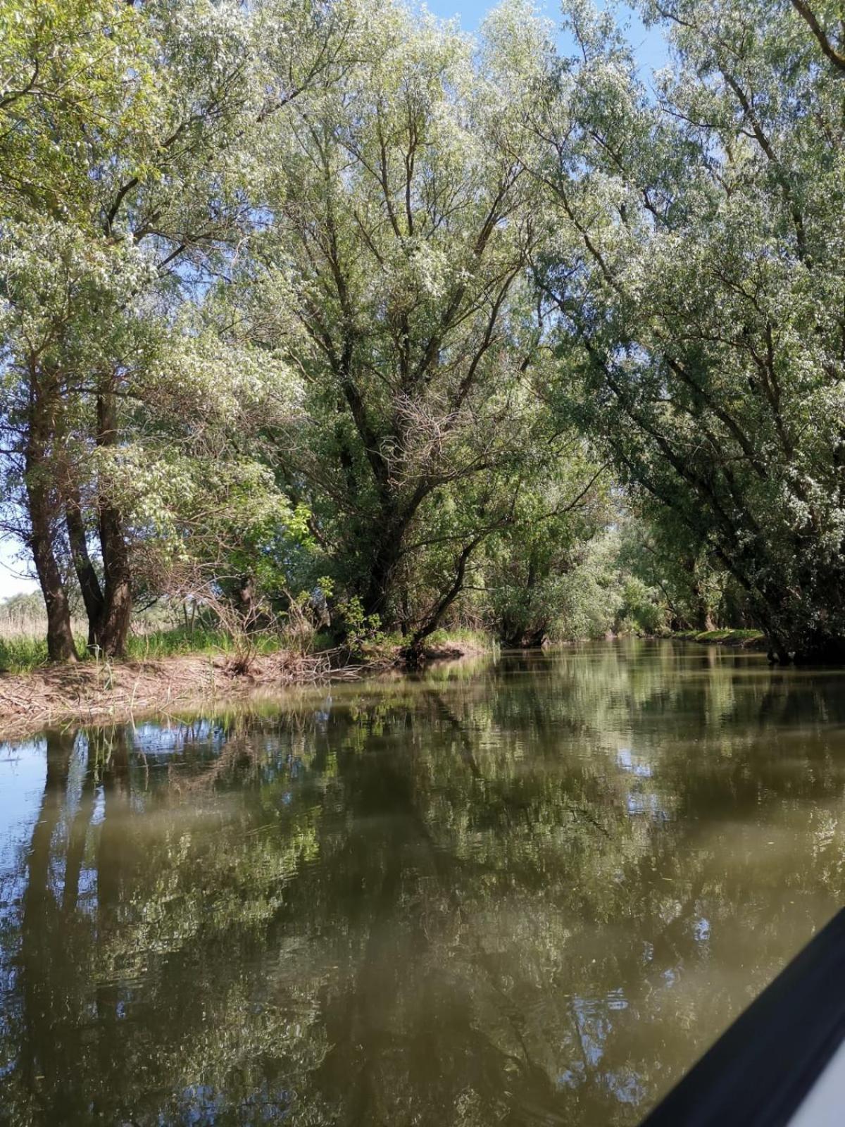 Căsuțele Deltei