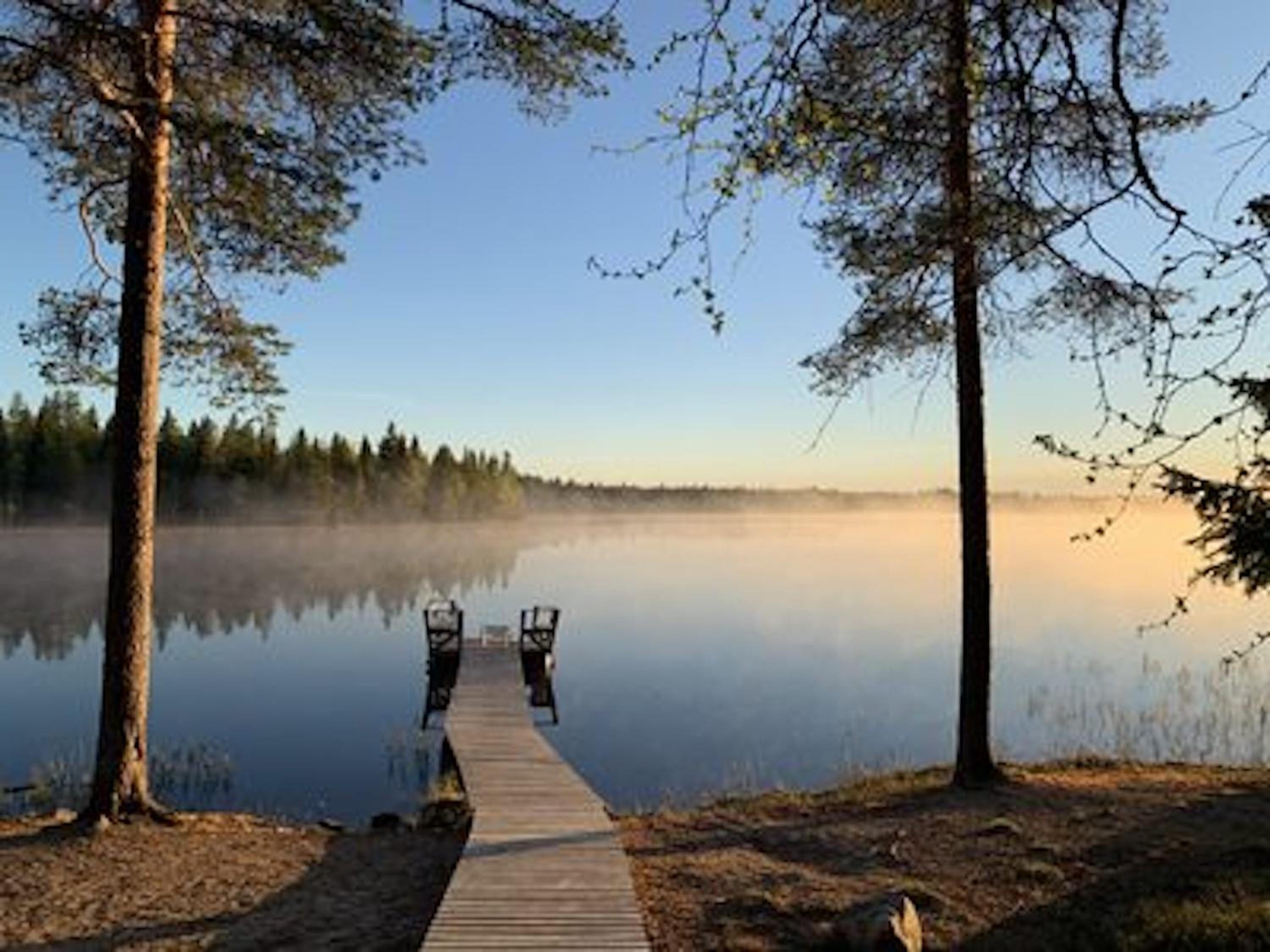 Metsä Kolo