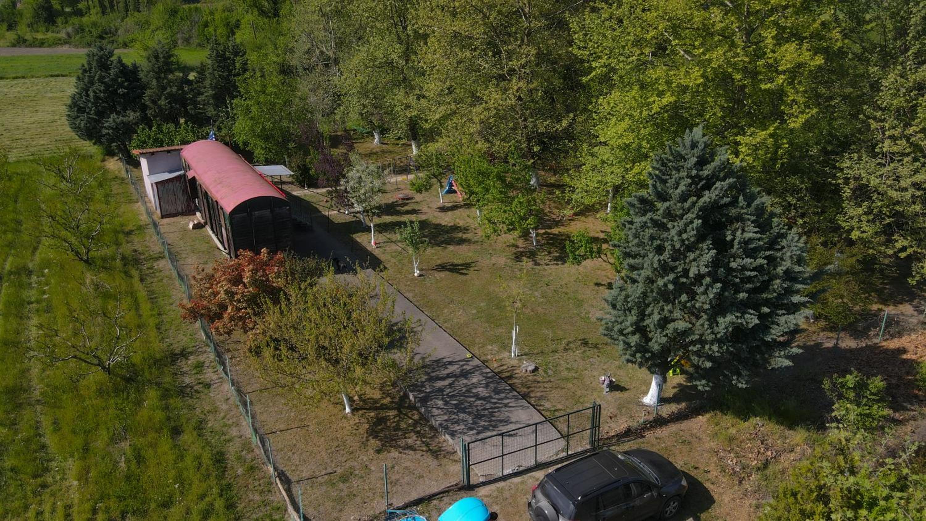 Train in the Forest view 4