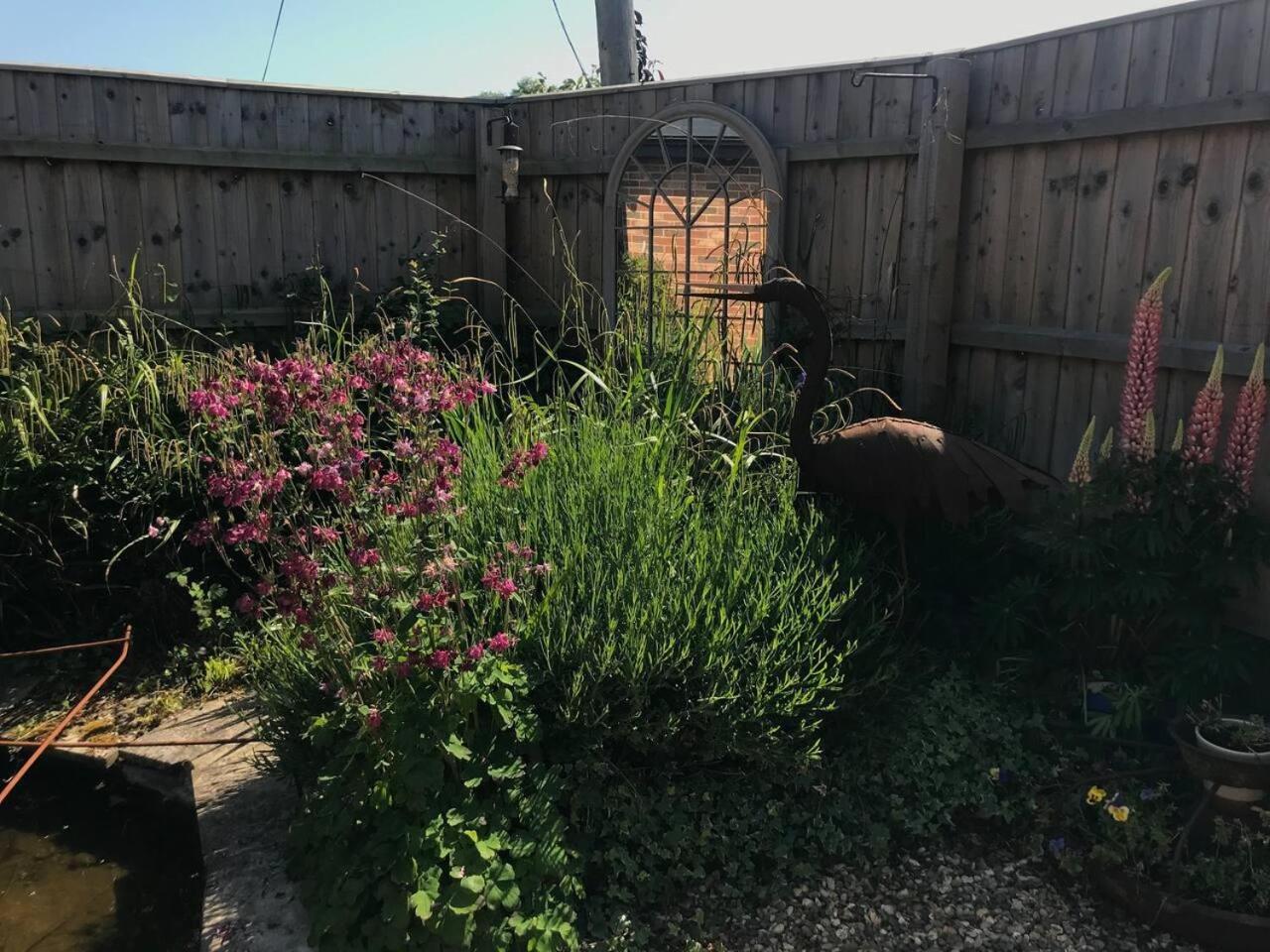 Photo 17