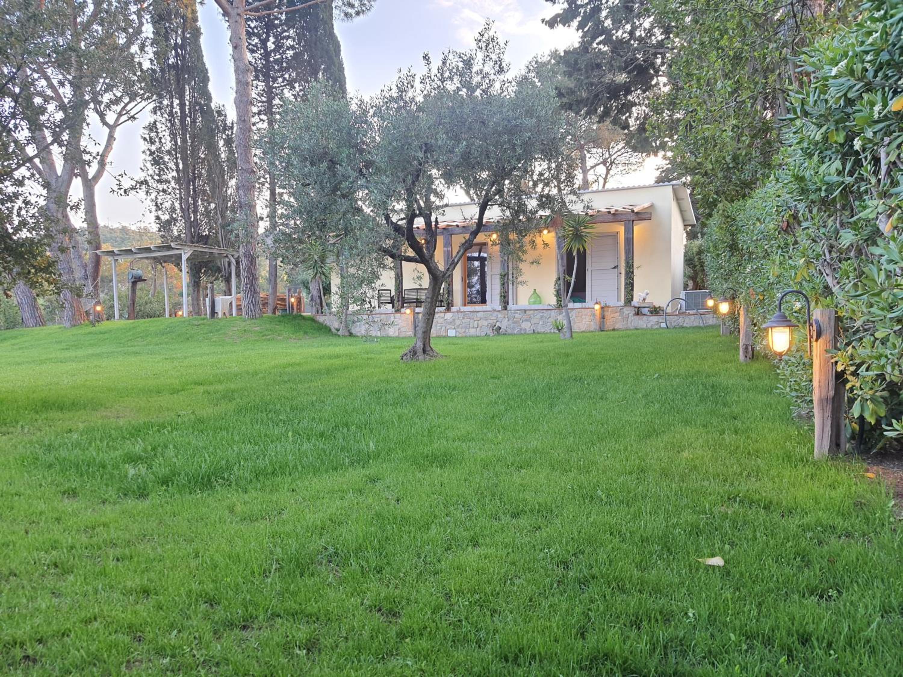 Photo 31