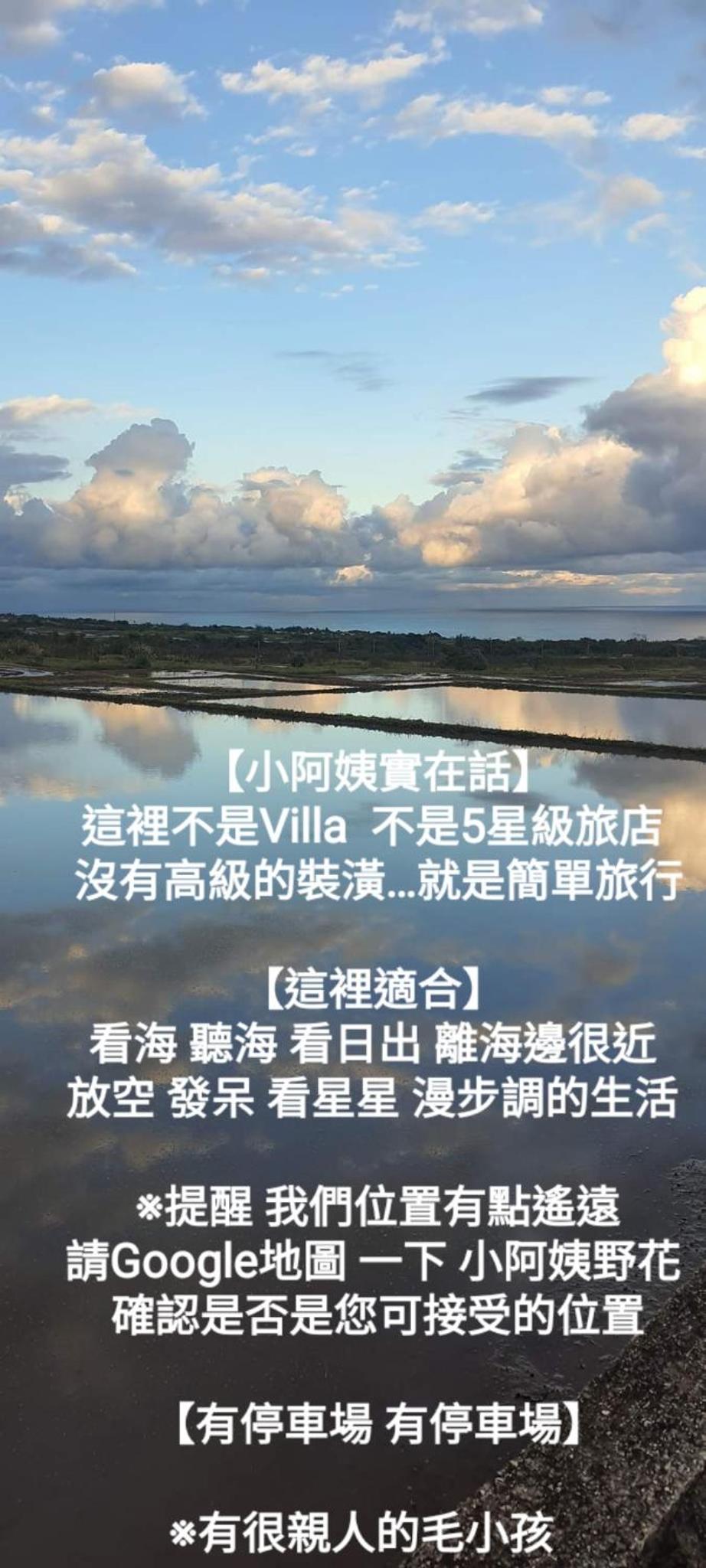 小阿姨野花 view 2