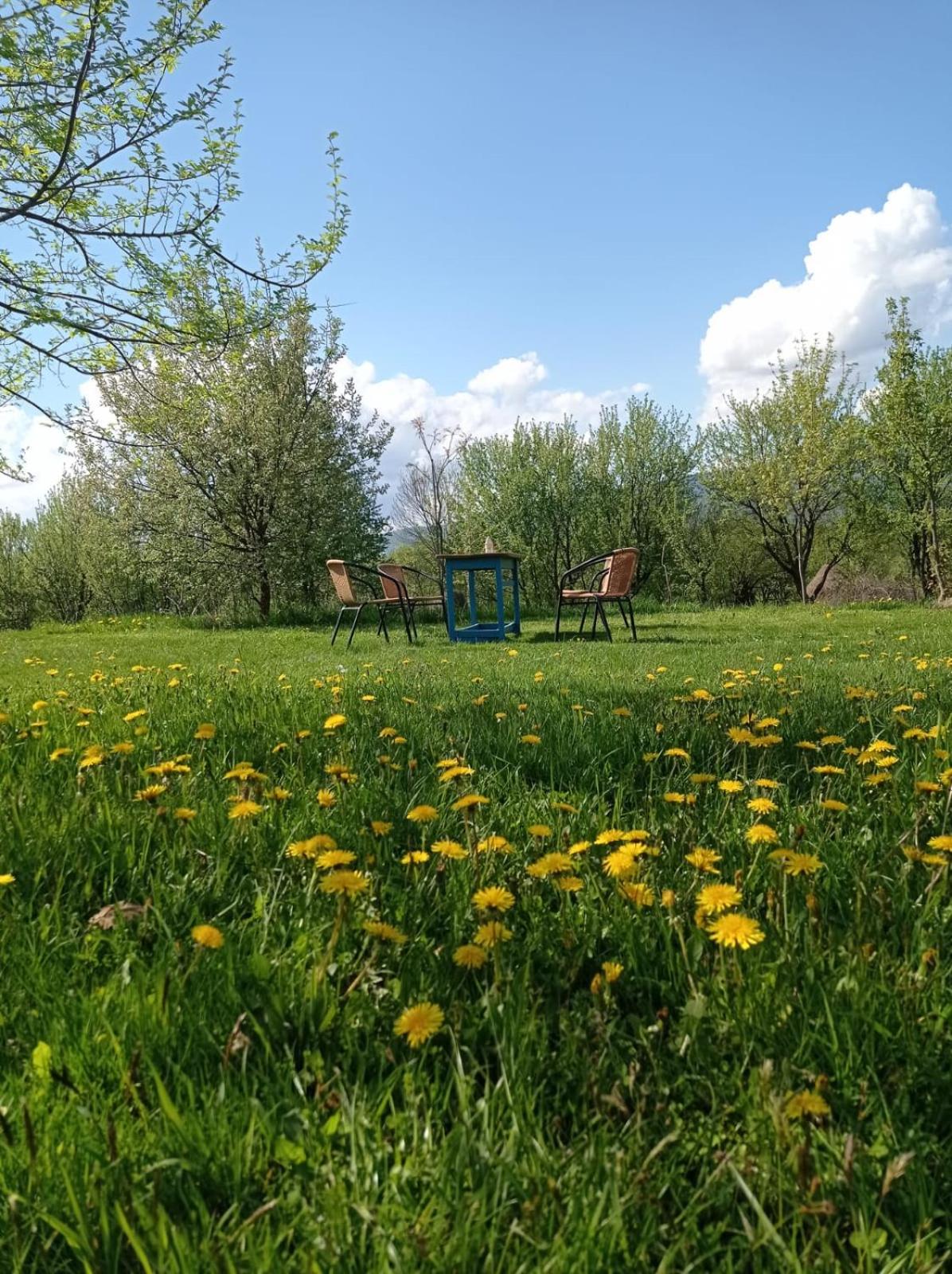 Babou Maramures view 4