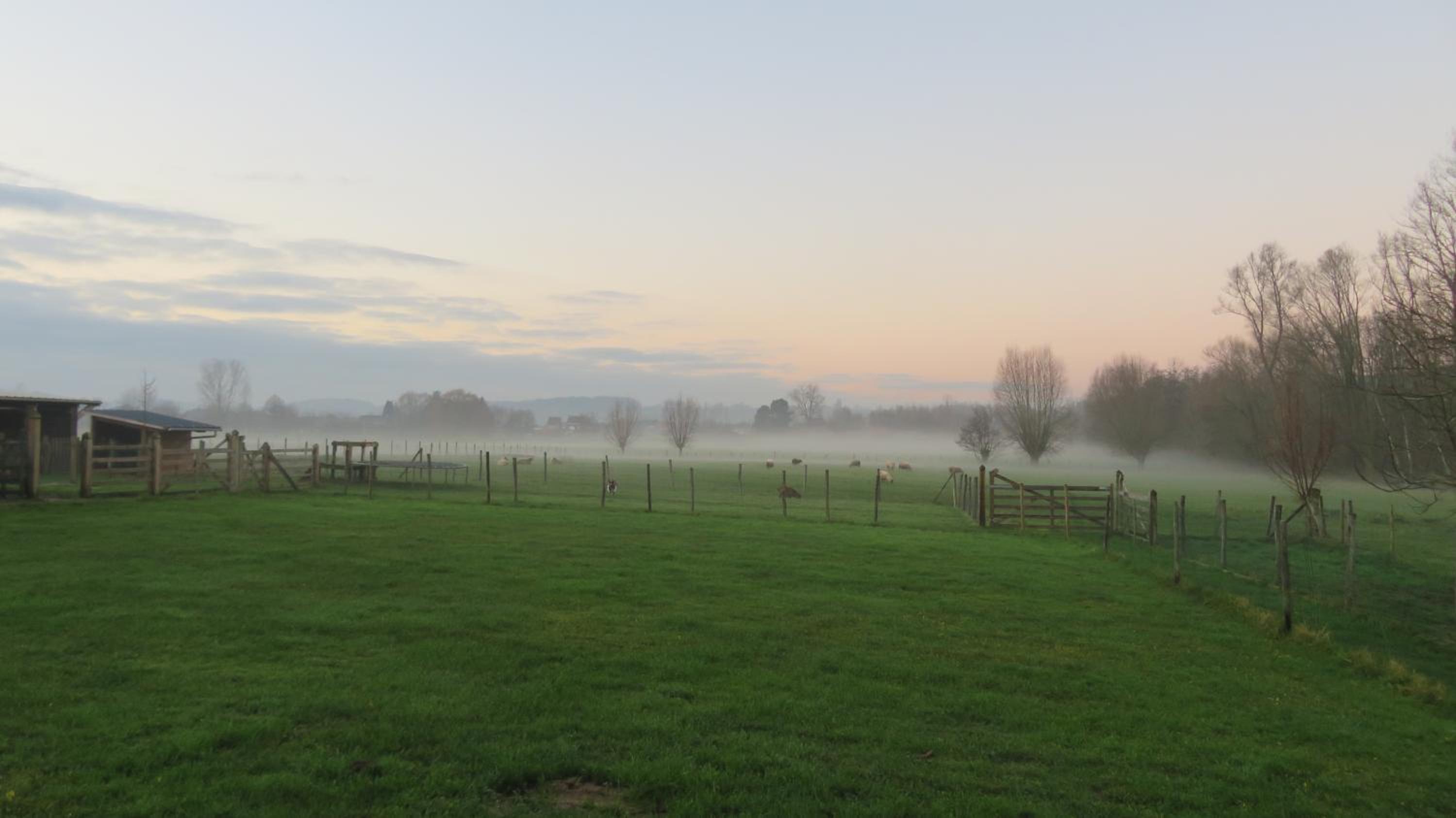 B&B Hoeve de Schapenkop