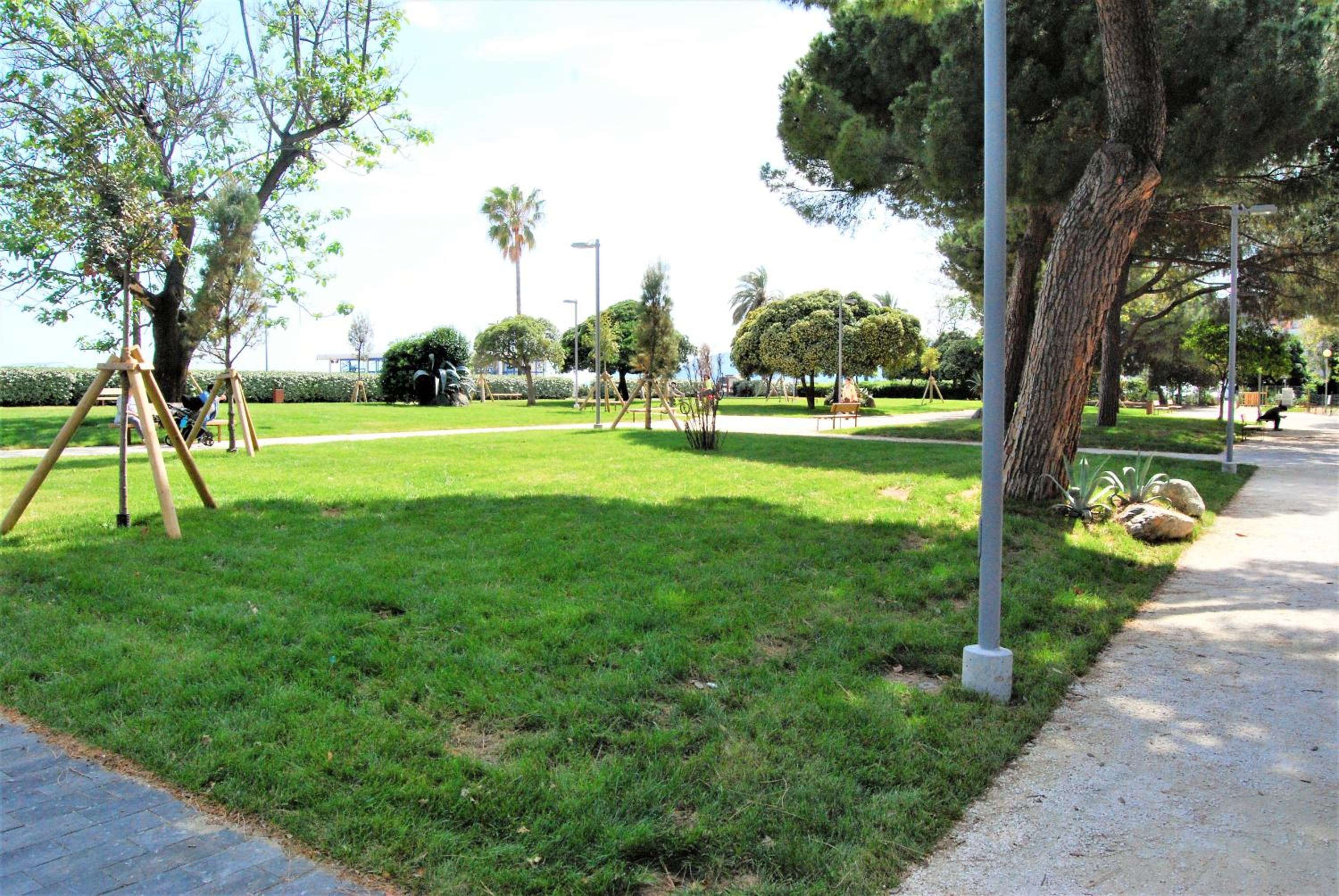 Photo 20
