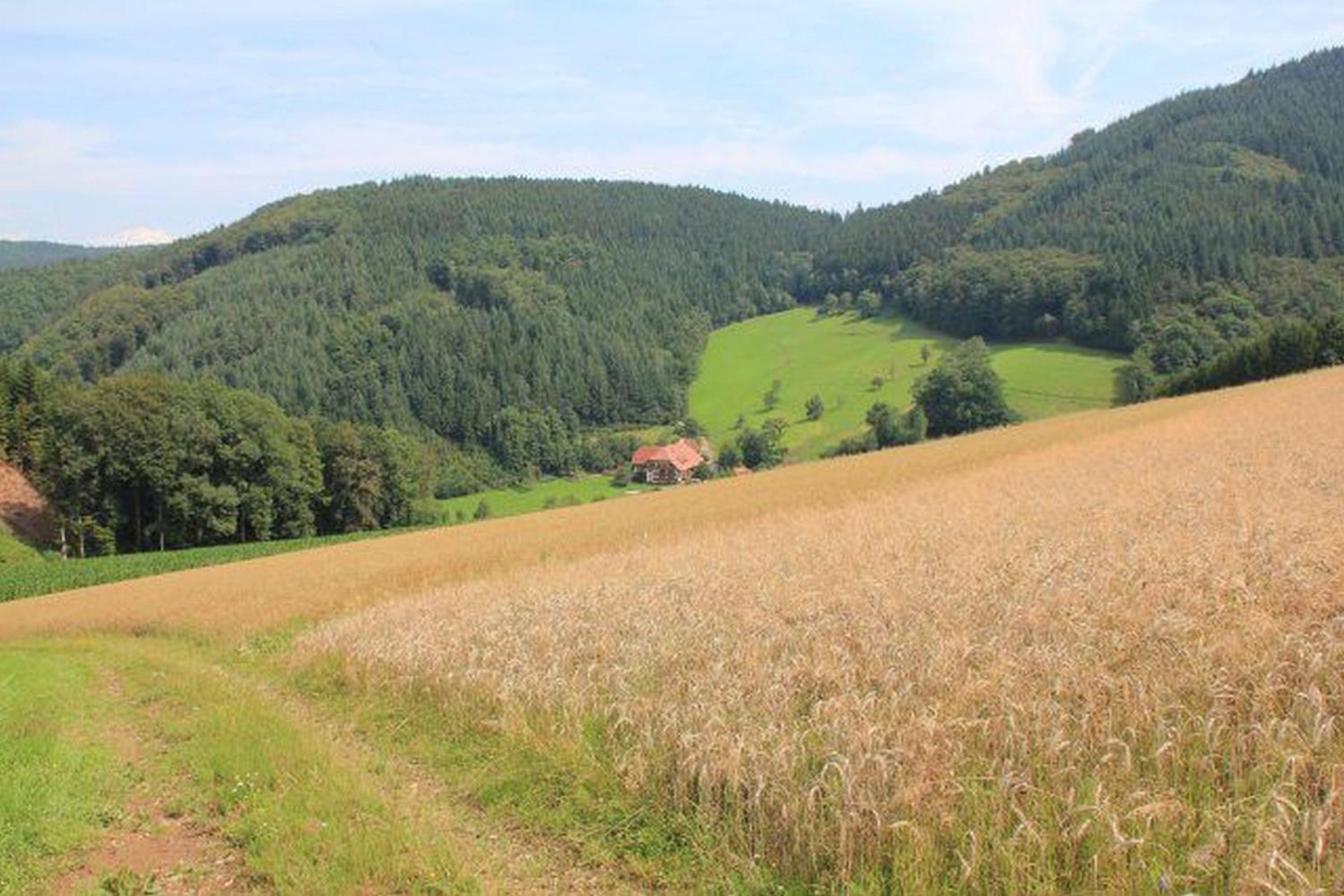 Geigerbauernhof
