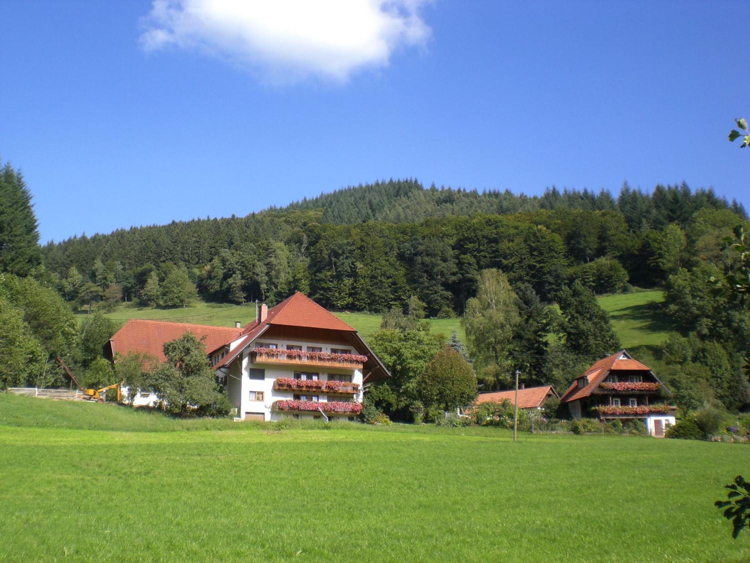 Geigerbauernhof
