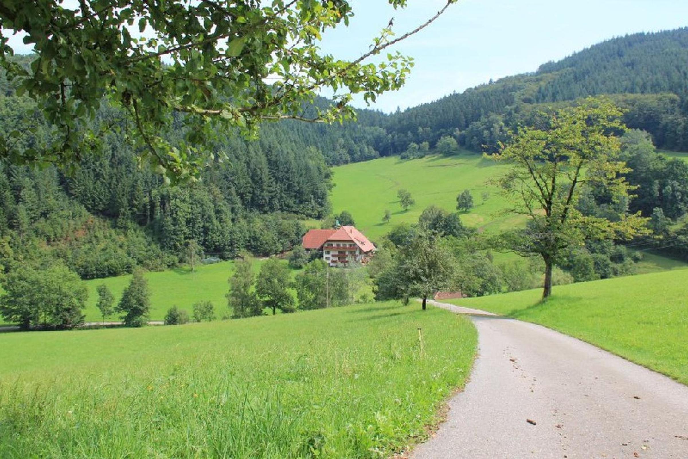 Geigerbauernhof
