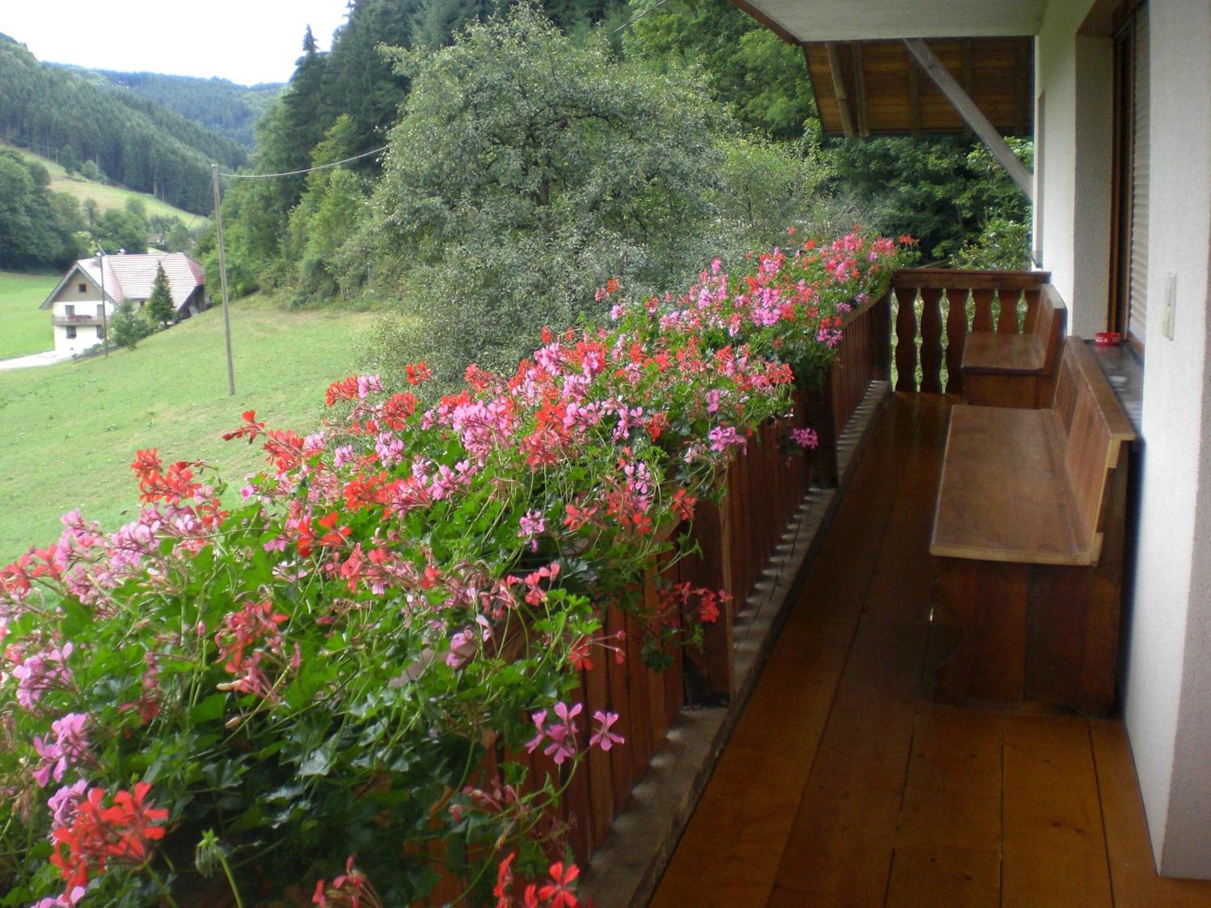 Geigerbauernhof