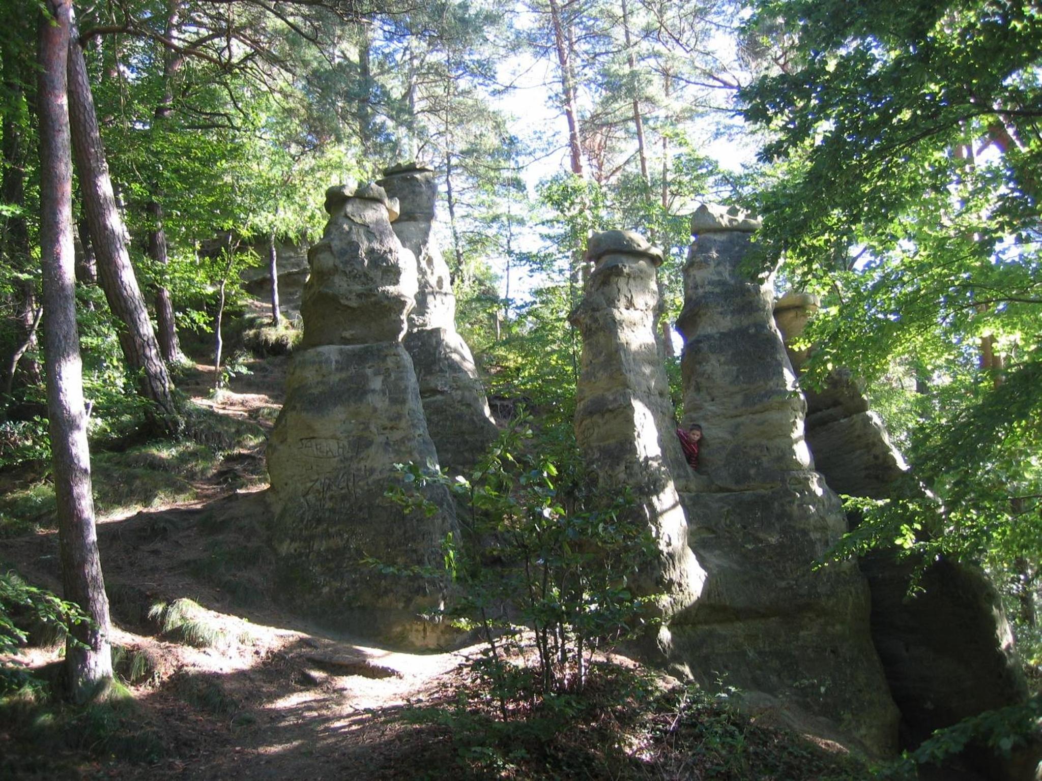 Photo 9