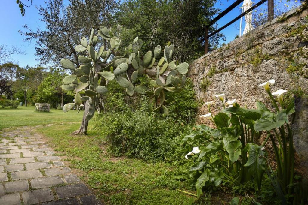 FATA BIANCA Salento - Giardino botanico con piscina