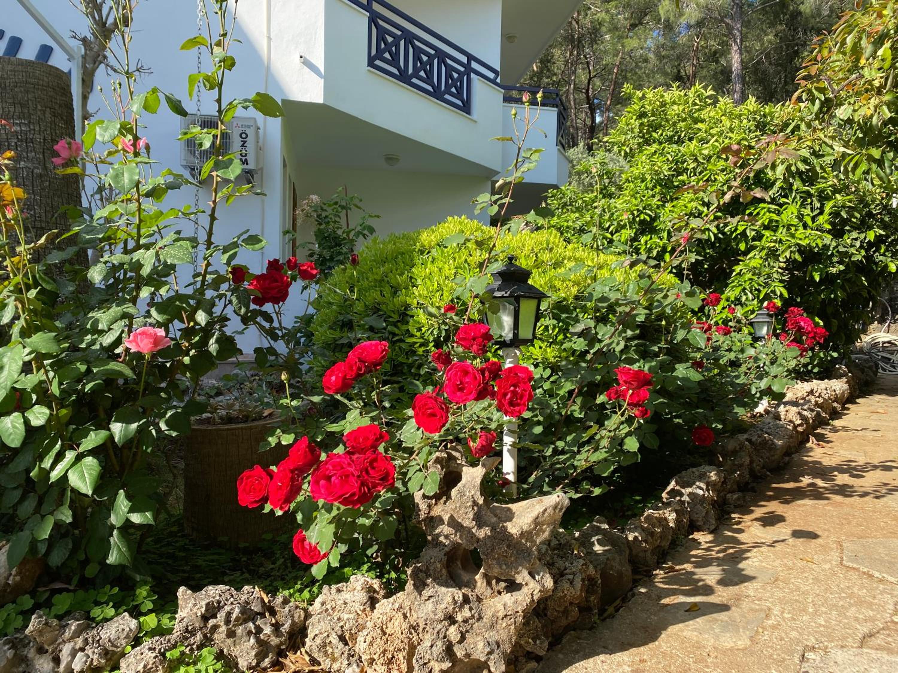 NATURELLA APART HOTEL - Image 181