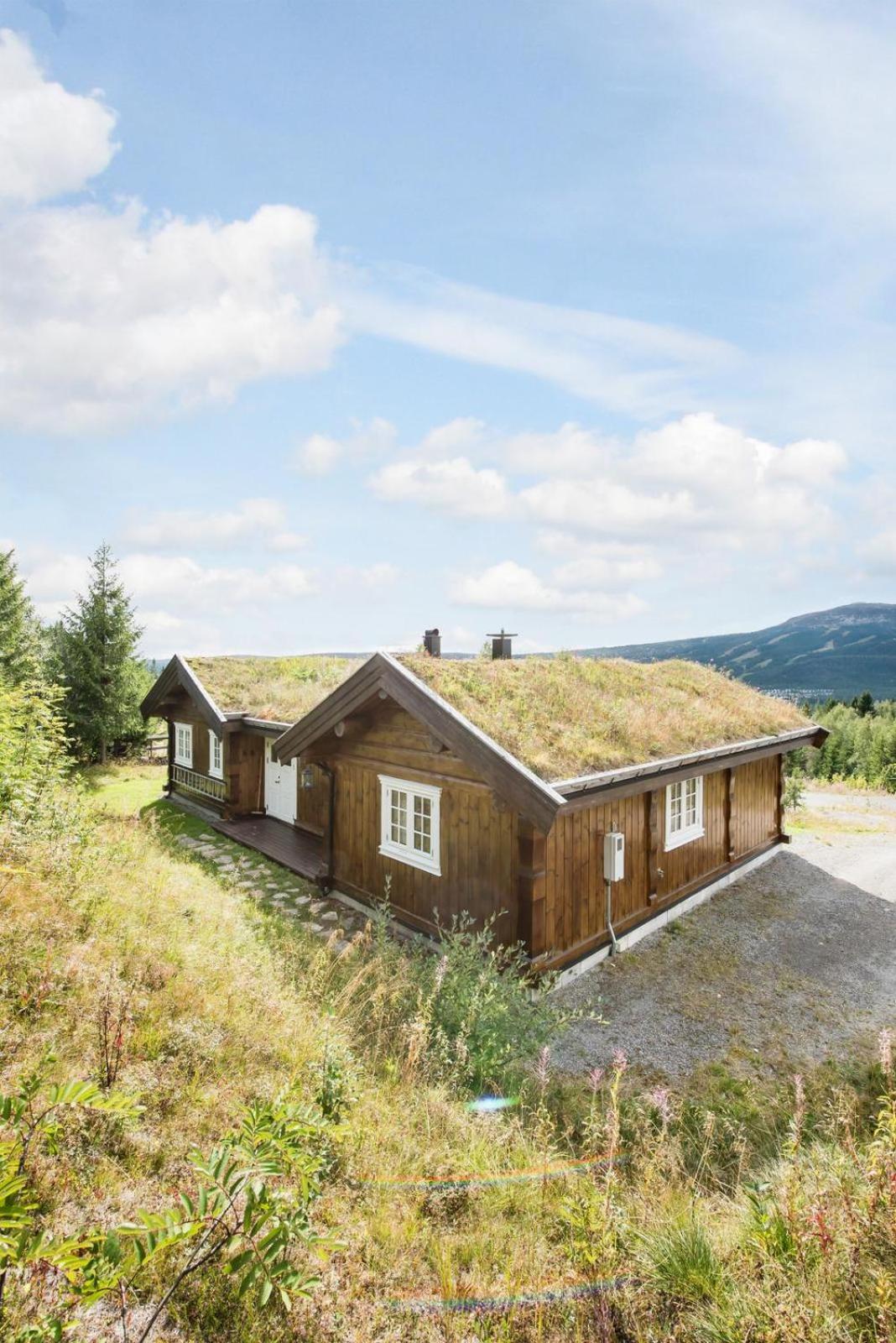 ReveEnka - cabin in Trysil with Jacuzzi for rent view 5