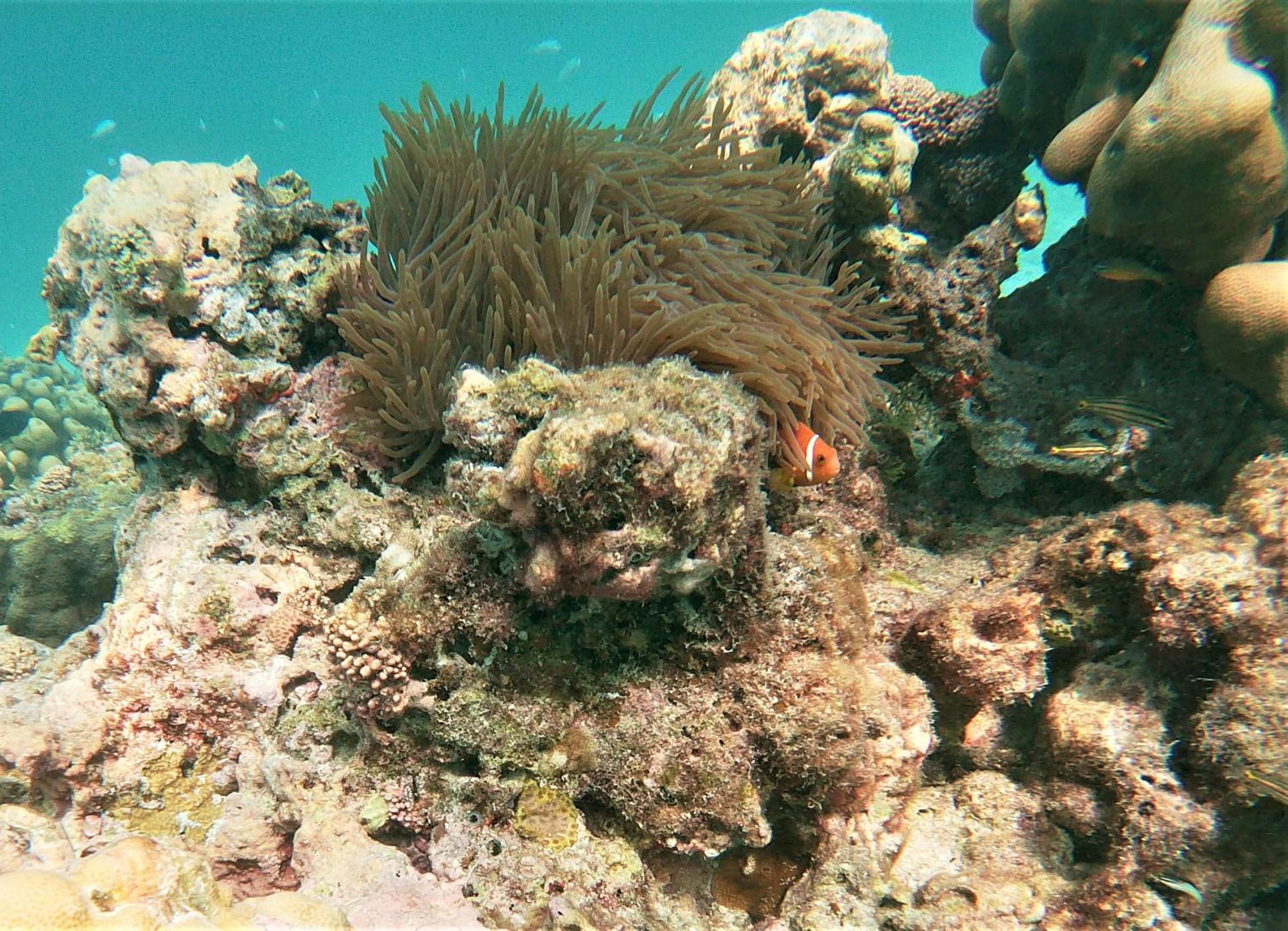 Photo 40