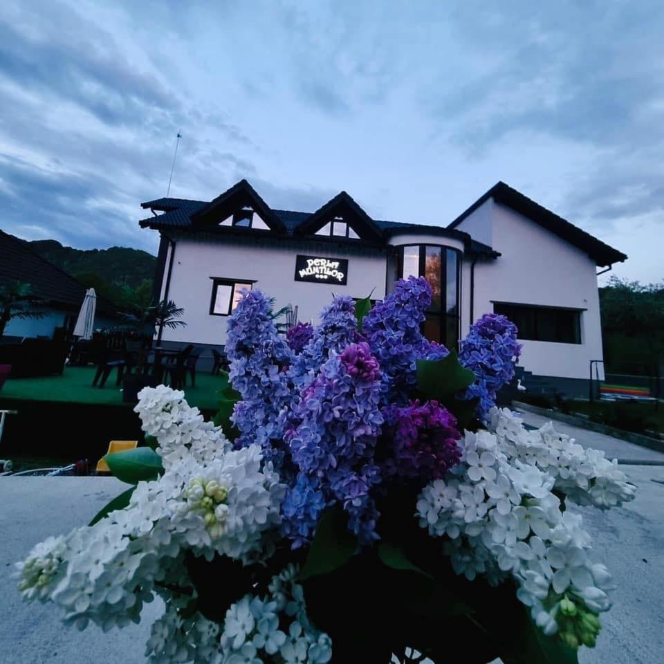 Perla Muntilor Ponoarele, Padurea de liliac view 5