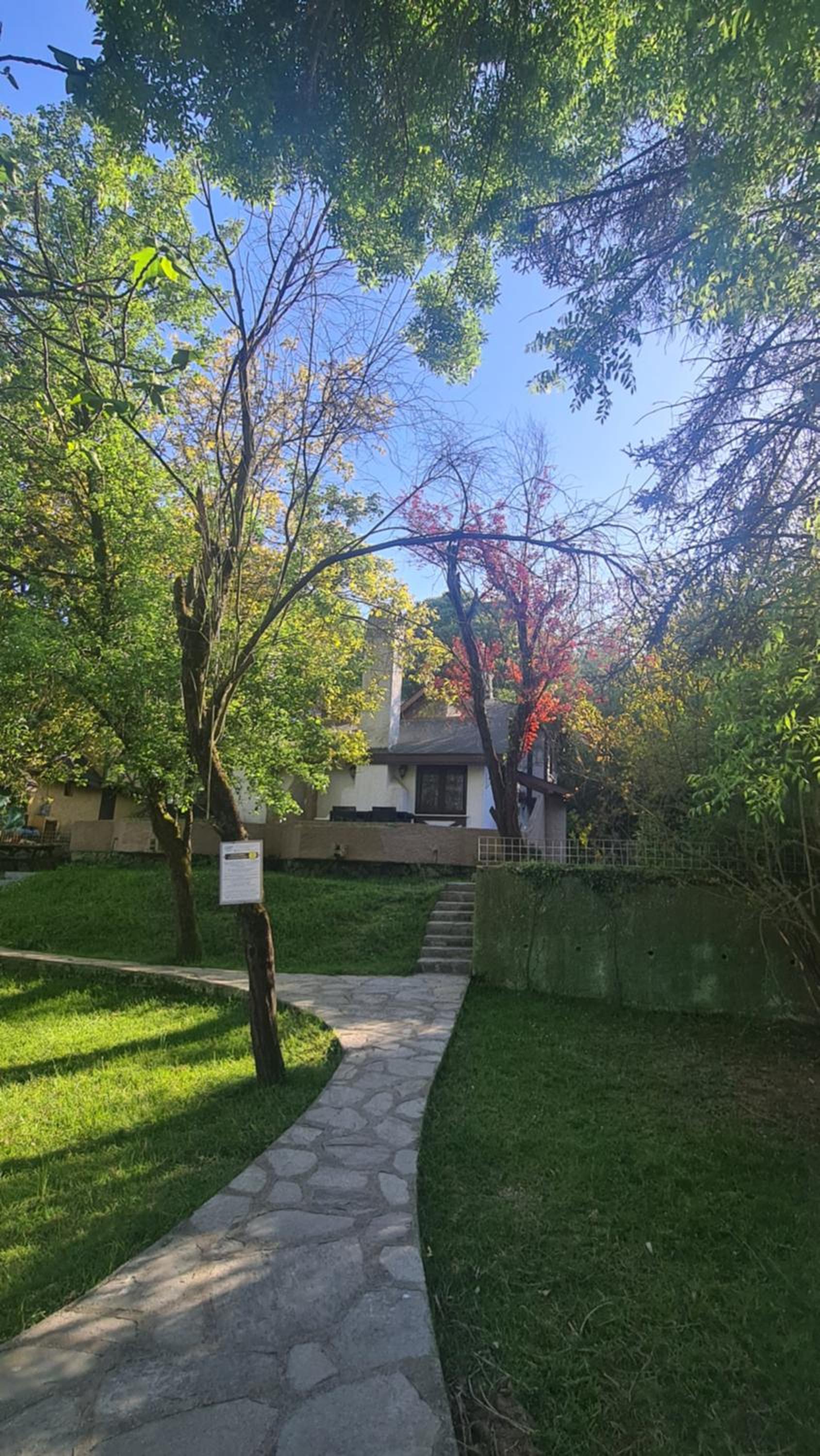 Photo 26