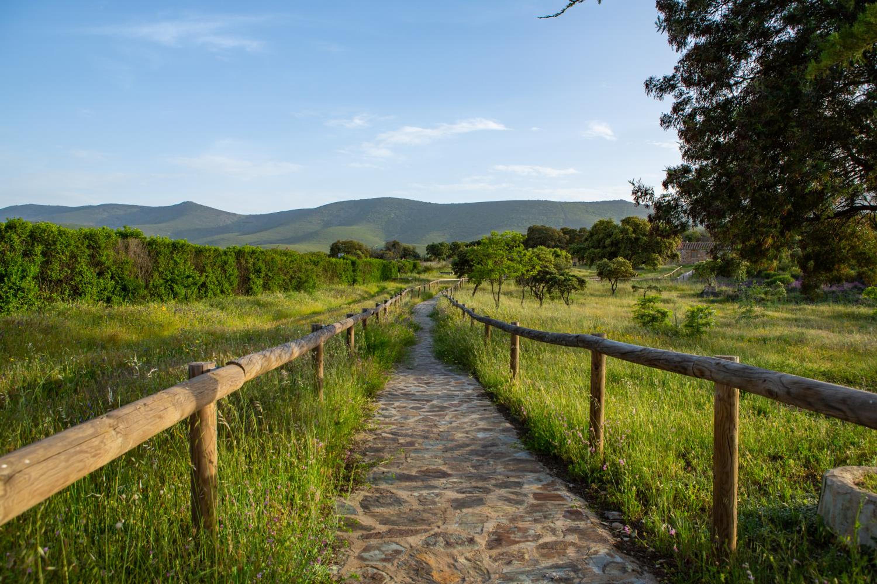Los Chozos del Geoparque