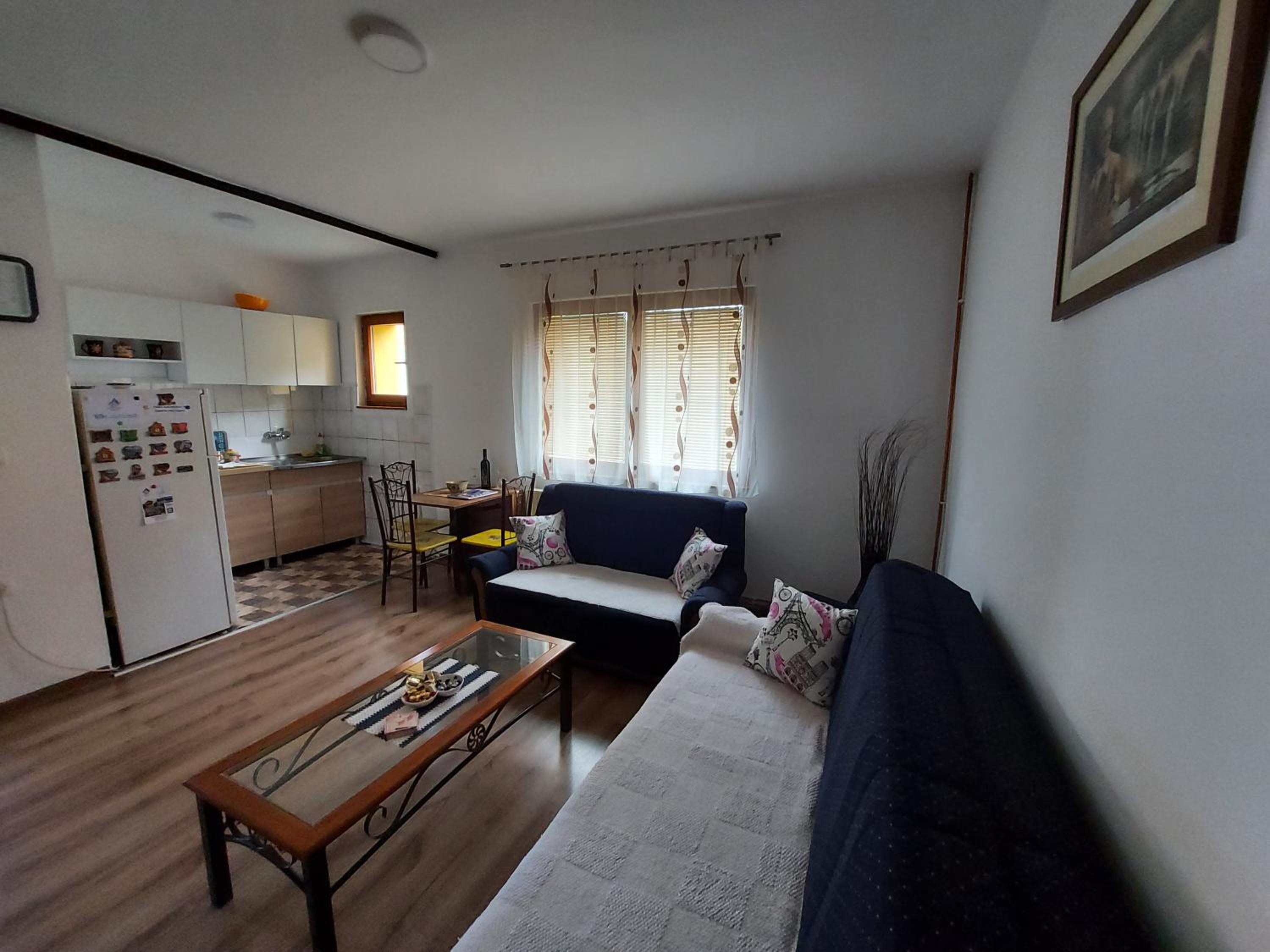 Apartman Jovičić, photo 15
